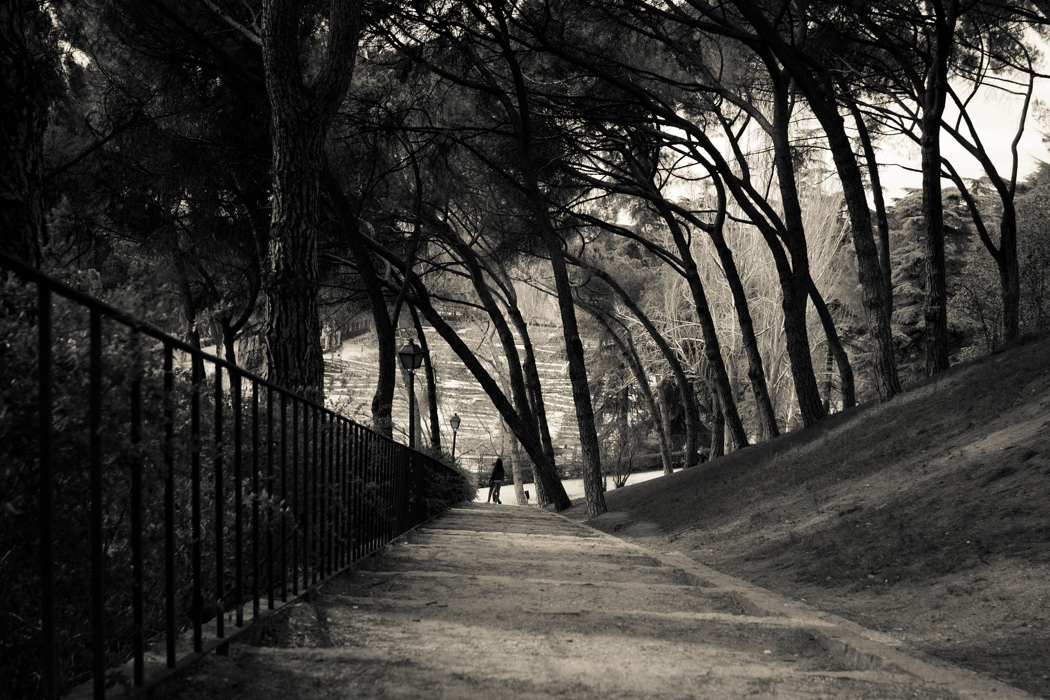 Canon EOS 550D (EOS Rebel T2i / EOS Kiss X4) + Canon EF 28mm F2.8 sample photo. Tree-sheltered path photography