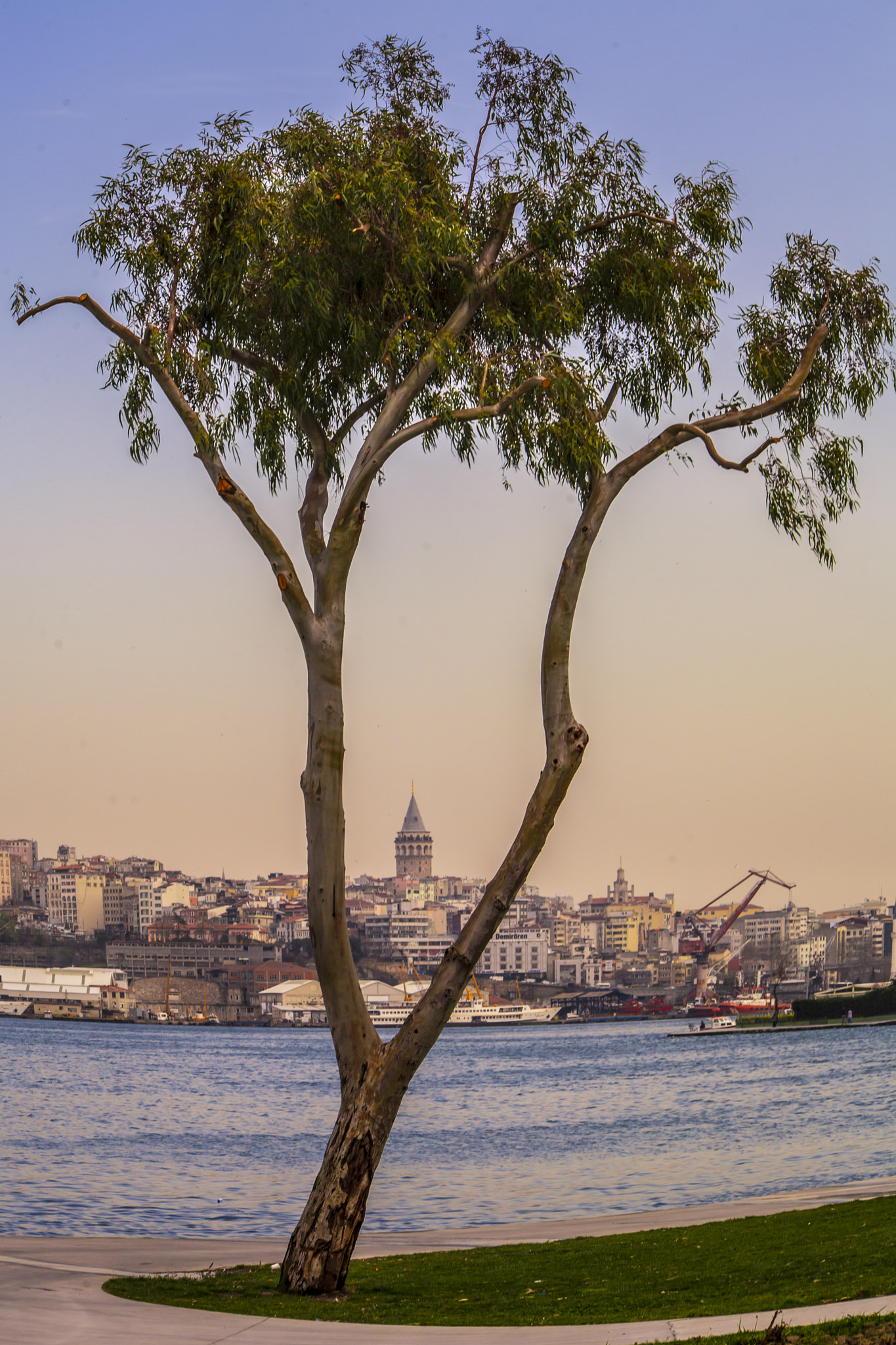 Sigma 70-300mm F4-5.6 APO DG Macro sample photo. Galata photography