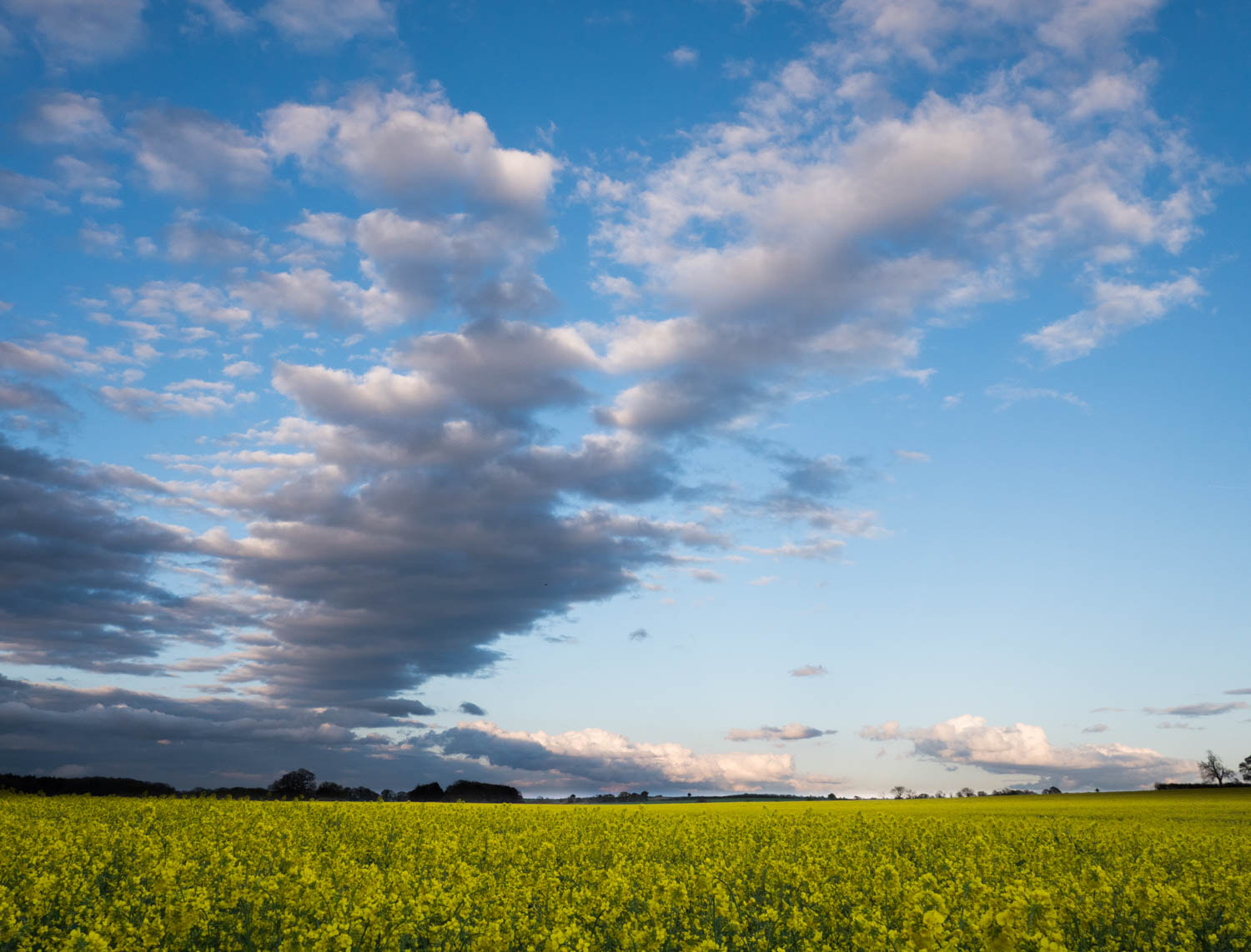 Panasonic Lumix DMC-GX8 + Panasonic Lumix G 14mm F2.5 ASPH sample photo. Evening sky photography