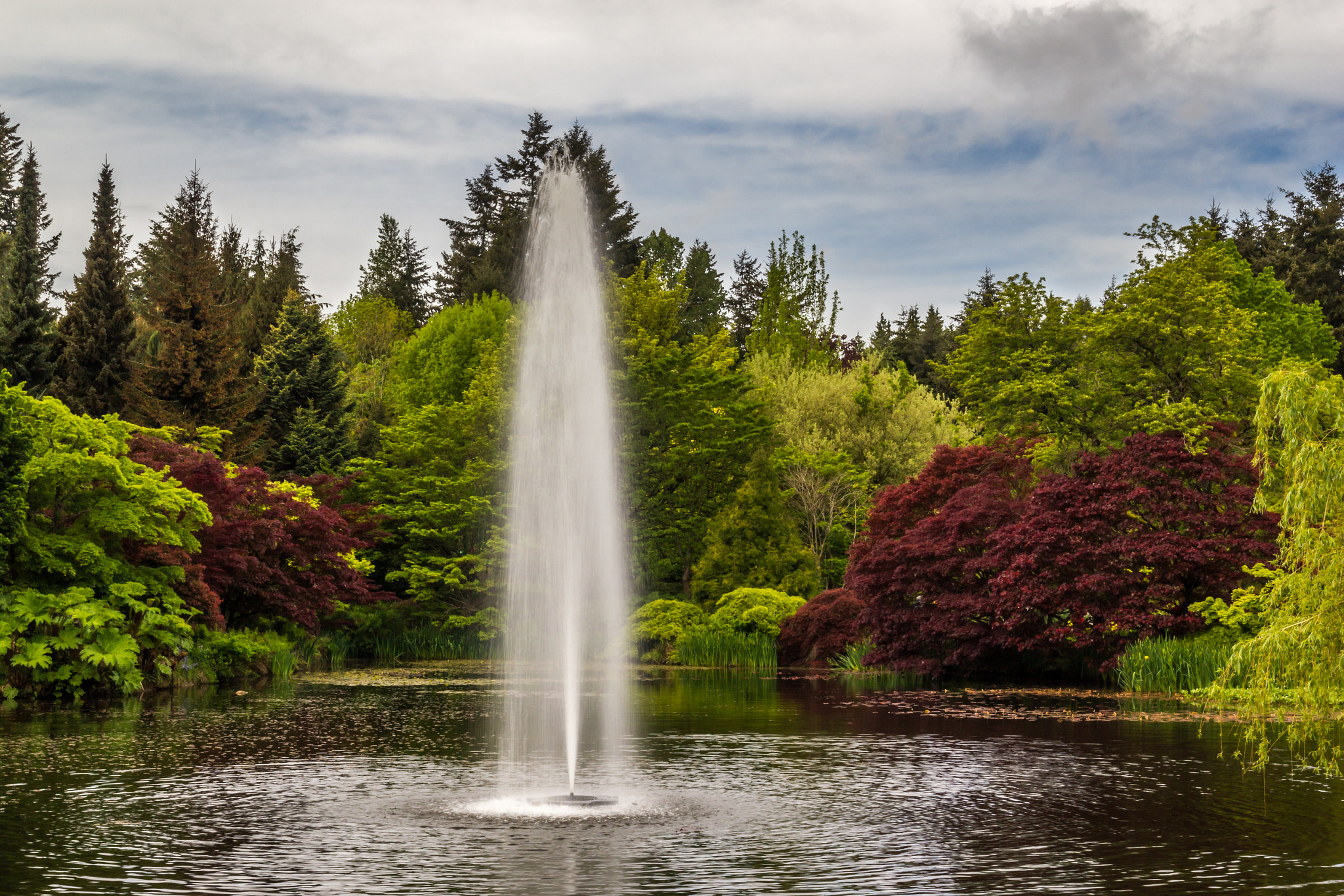 Sigma 18-50mm f/2.8 Macro sample photo. Vandusen garden photography