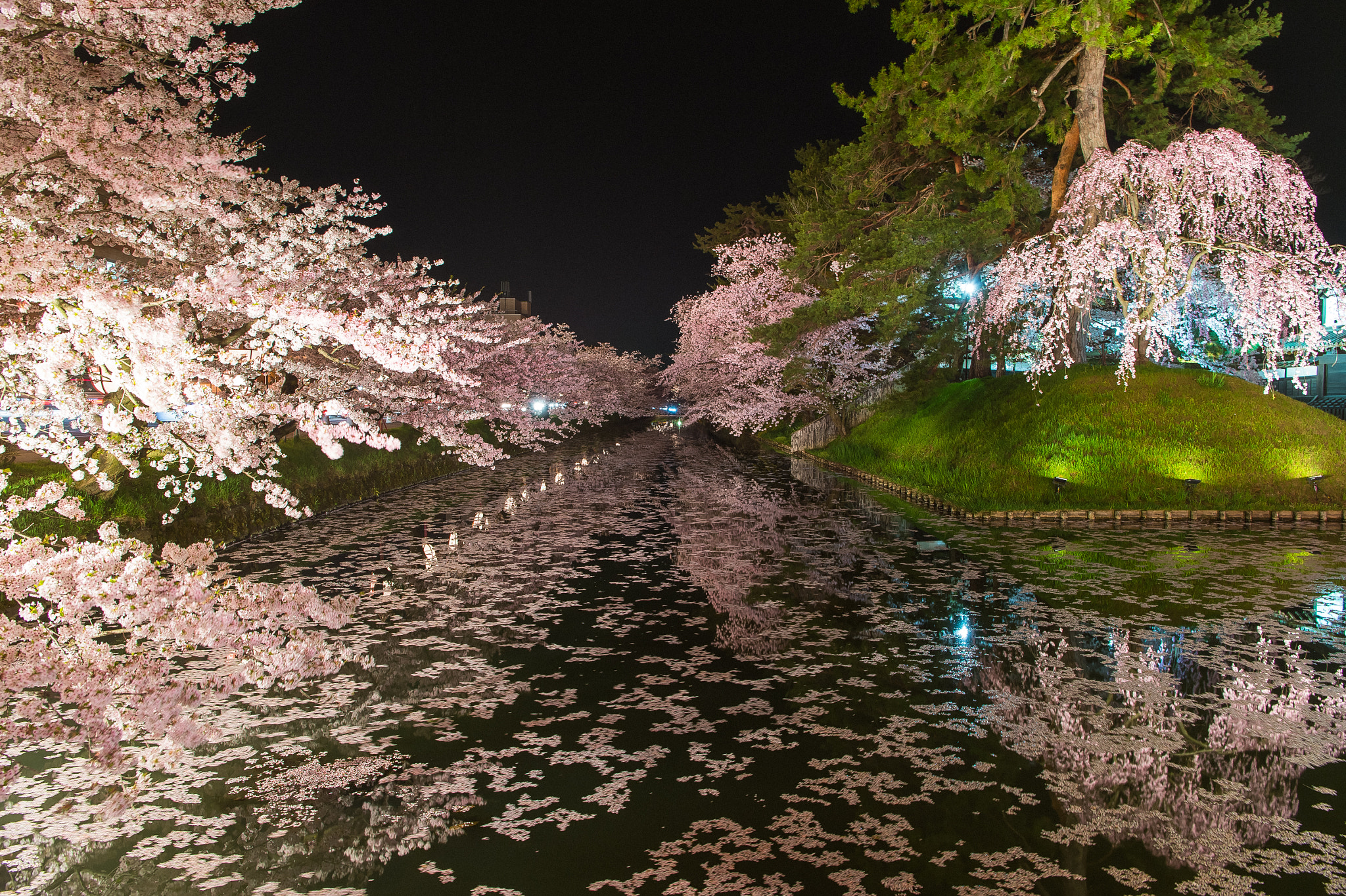 Nikon AF-S Nikkor 24-70mm F2.8E ED VR sample photo. Spring night dream photography