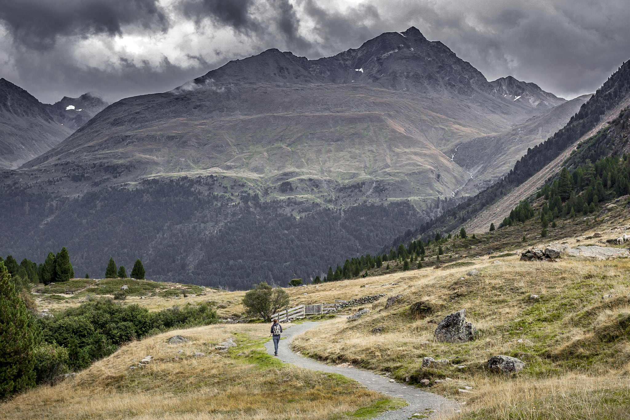 Canon EOS-1D Mark II sample photo. Hiking to vent photography
