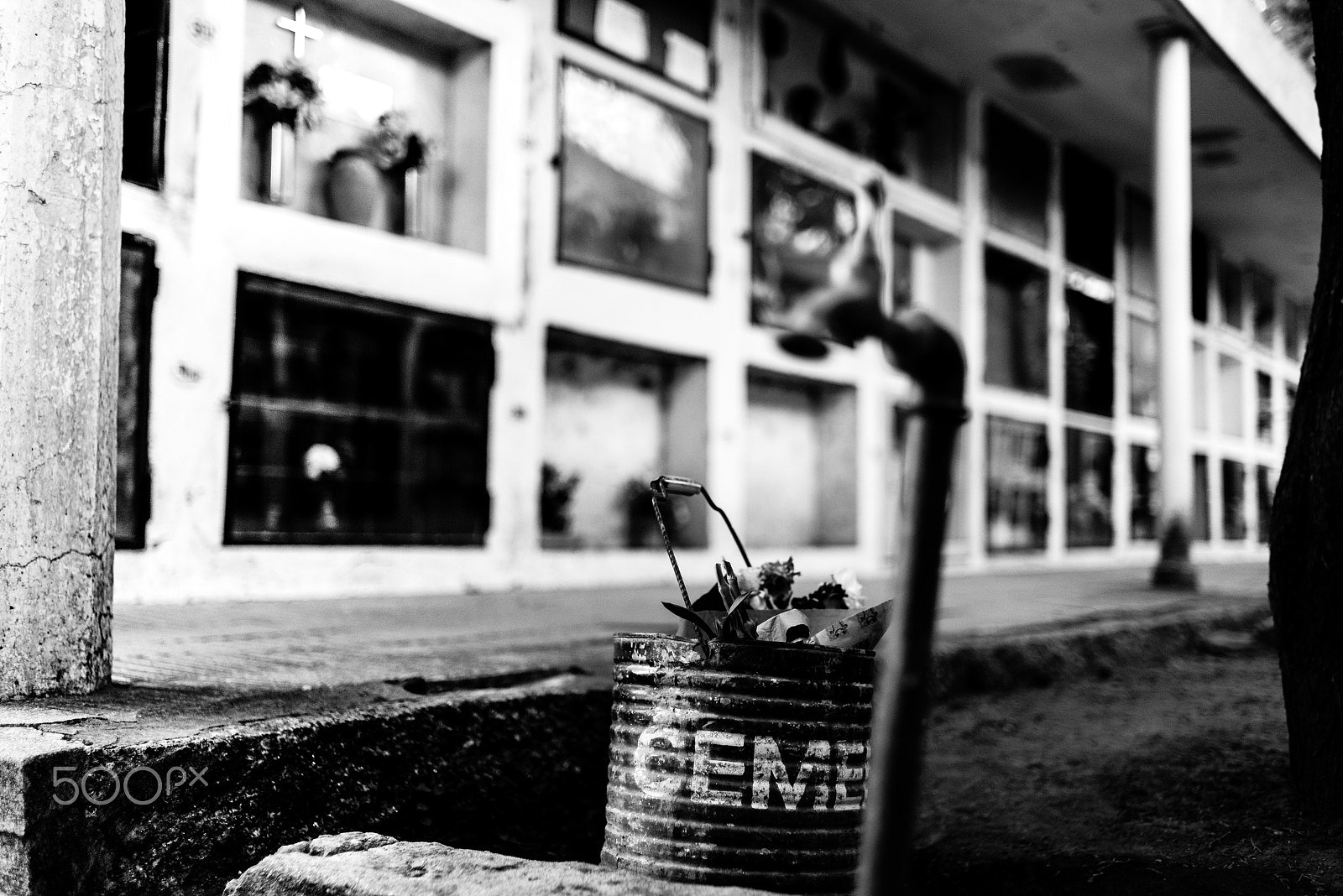 Nikon D800 + AF Nikkor 35mm f/2 sample photo. Ceme photography