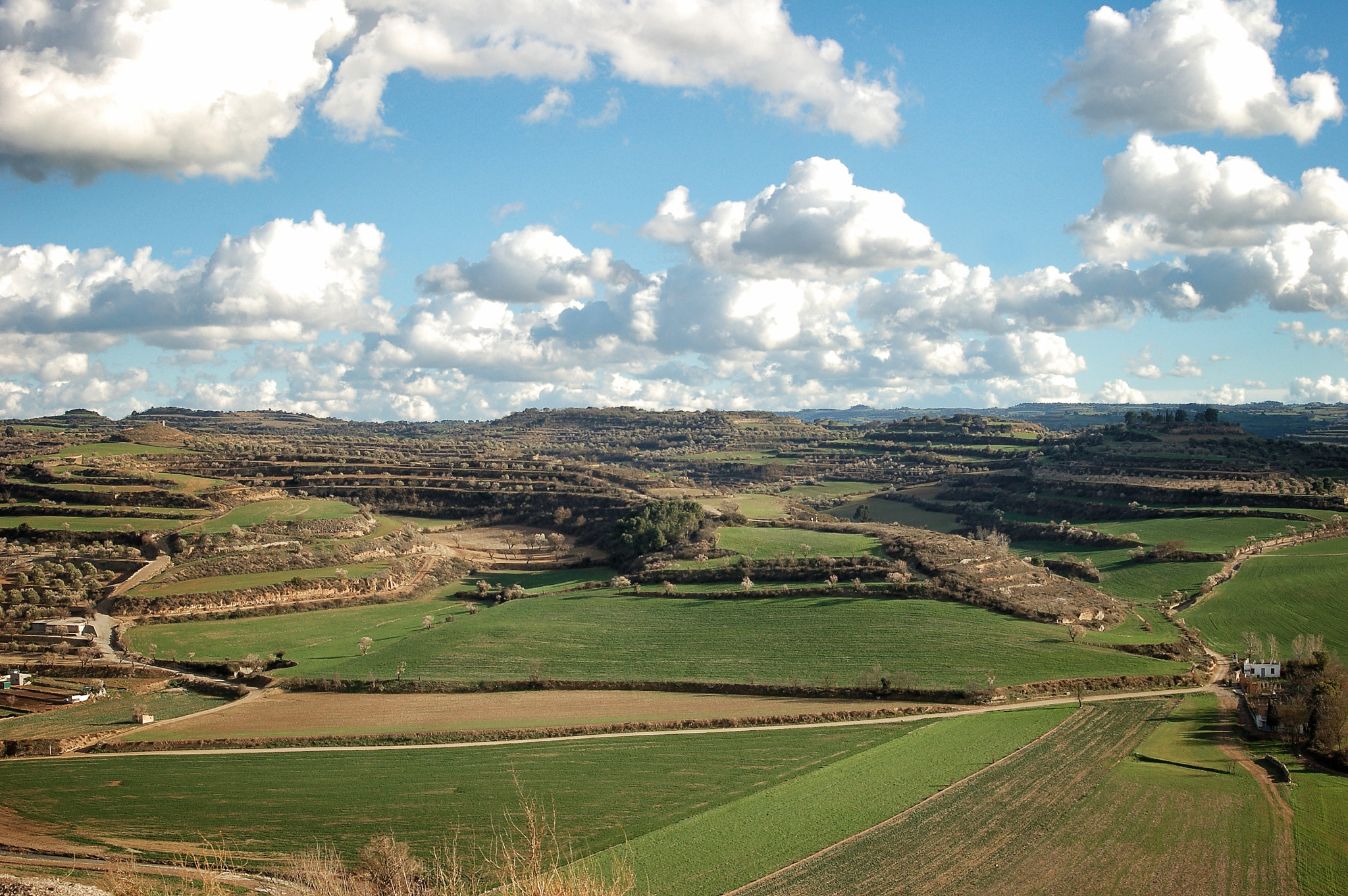 Nikon D50 + AF Zoom-Nikkor 35-80mm f/4-5.6D sample photo. Paisaje de cataluña, españa photography