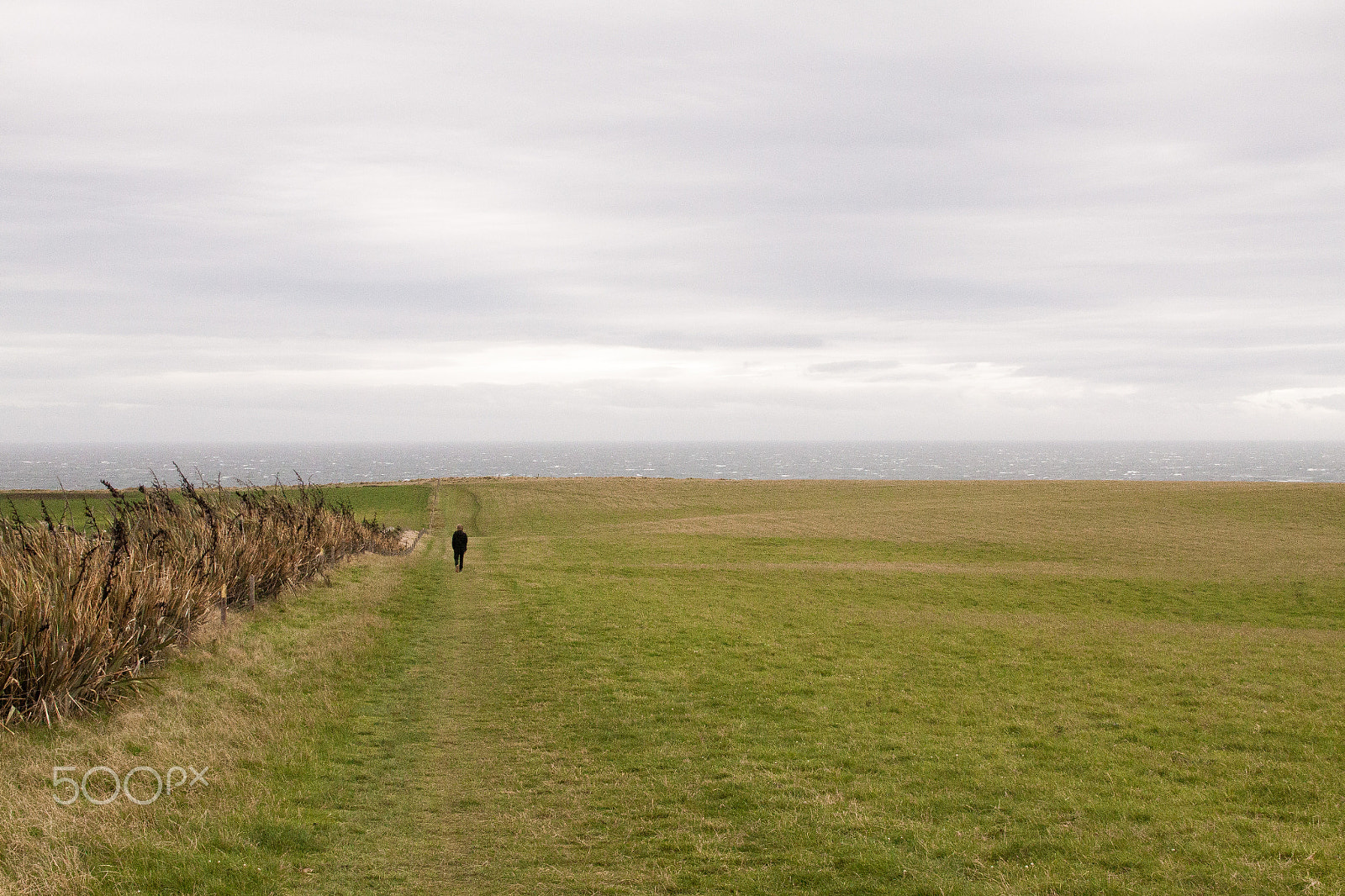 Sigma 30mm F1.4 EX DC HSM sample photo. Slope point photography