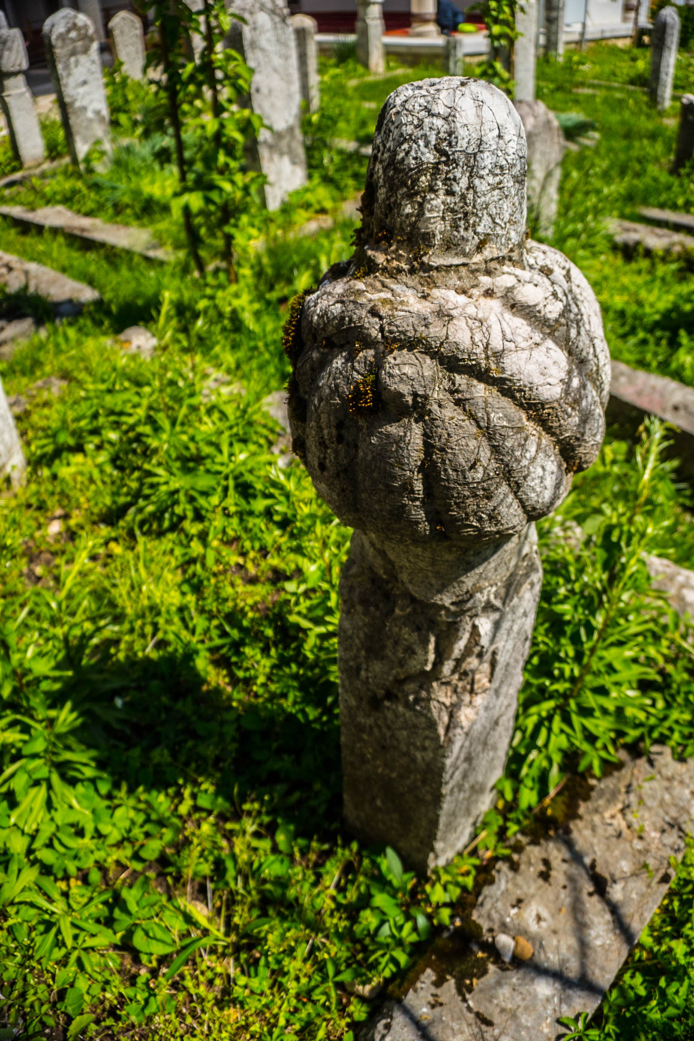 Sony a7S sample photo. _dsc8178.jpg photography