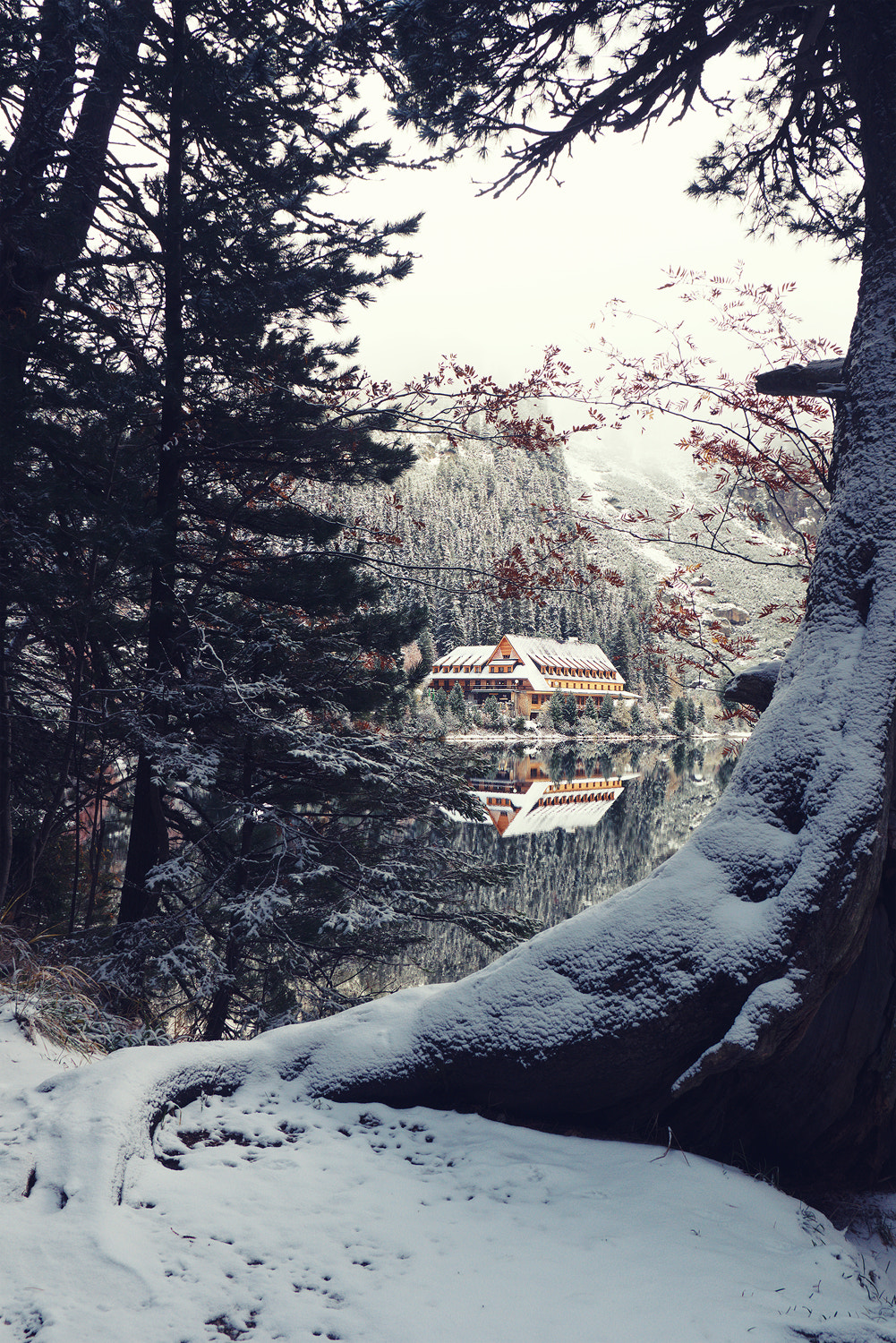 Pentax K-3 sample photo. Near popradske pleso 2 photography