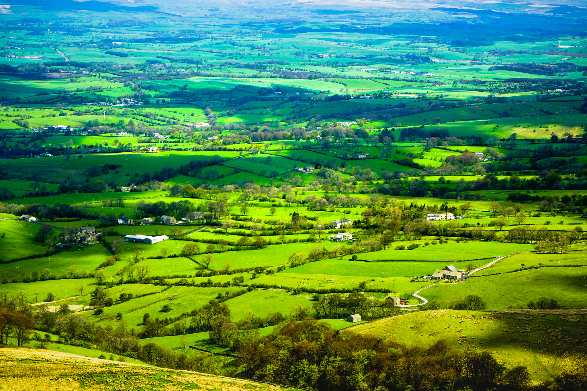 Sony Alpha NEX-7 + 24-70mm F4 ZA OSS sample photo. Lancashire green. photography