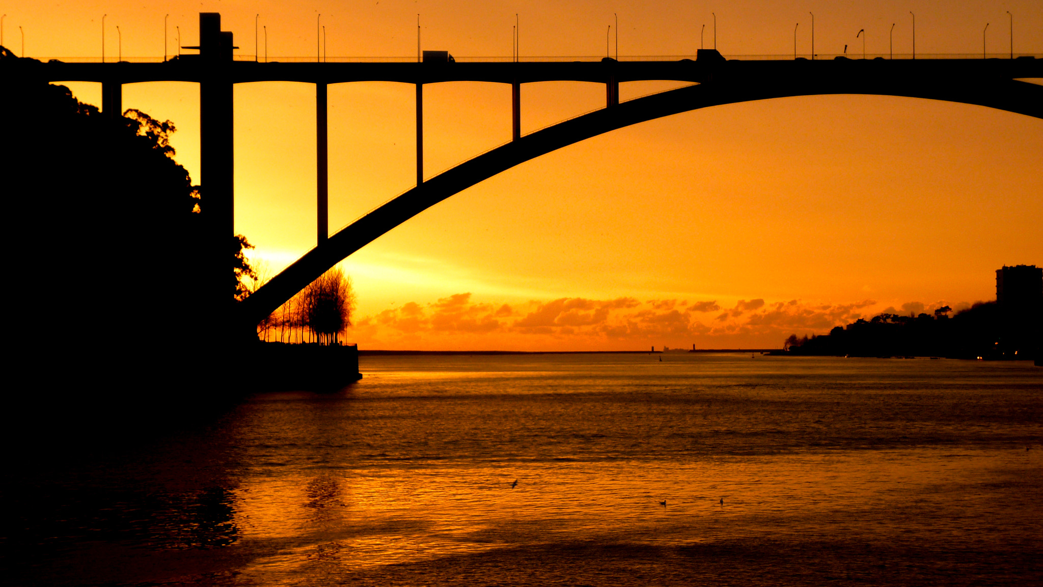 Panasonic DMC-FS62 sample photo. Arrabida's bridge by sunset photography