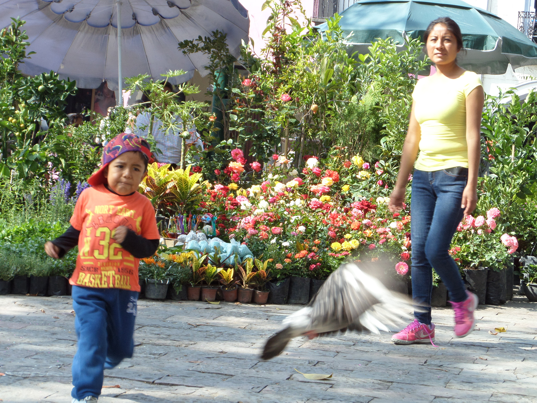 Samsung WB200F/WB201F/WB202F sample photo. Inocence photography