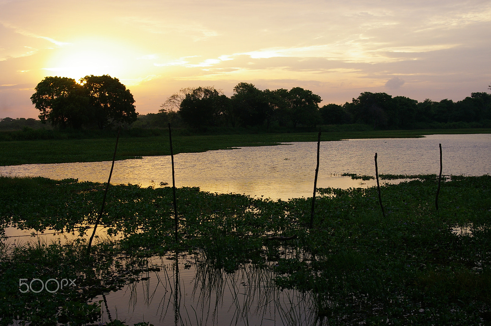 Pentax *ist DL2 sample photo. The end of the day photography