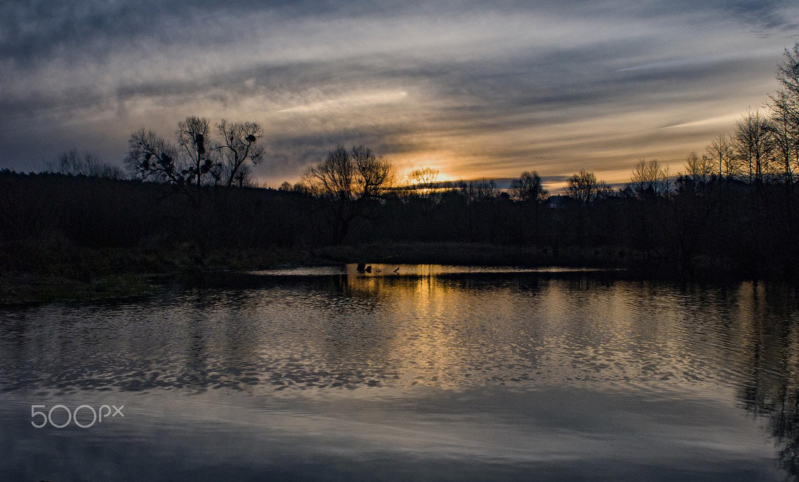 AF Zoom-Nikkor 28-85mm f/3.5-4.5 sample photo. стариця photography