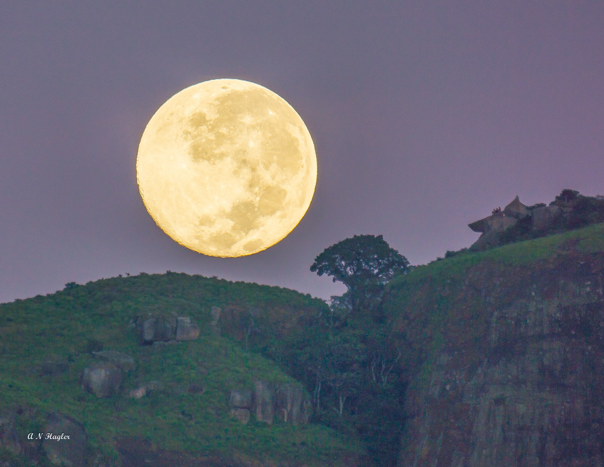 Sony SLT-A77 + Sony 500mm F8 Reflex sample photo. Moonset & tree on pedra da gavea photography