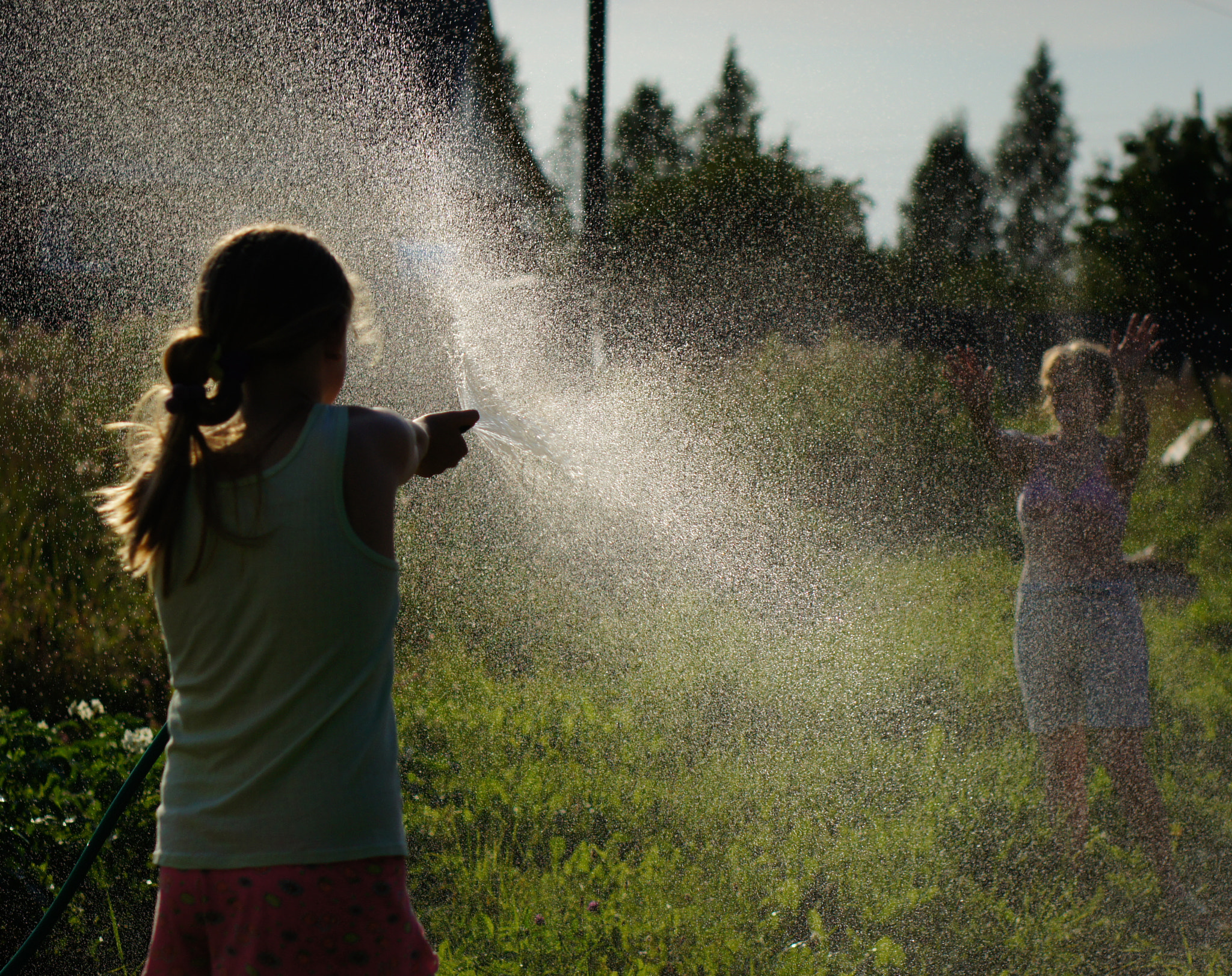Sony Alpha NEX-5 + E 50mm F1.8 OSS sample photo. Summer! photography