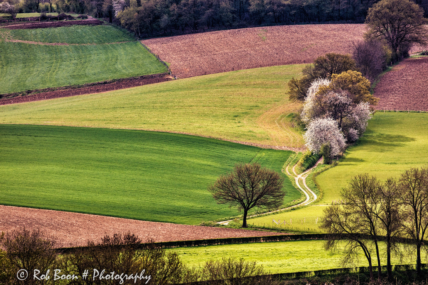 Canon EF 100-400mm F4.5-5.6L IS II USM sample photo. Landscape patchwork @ noorbeek 4 photography