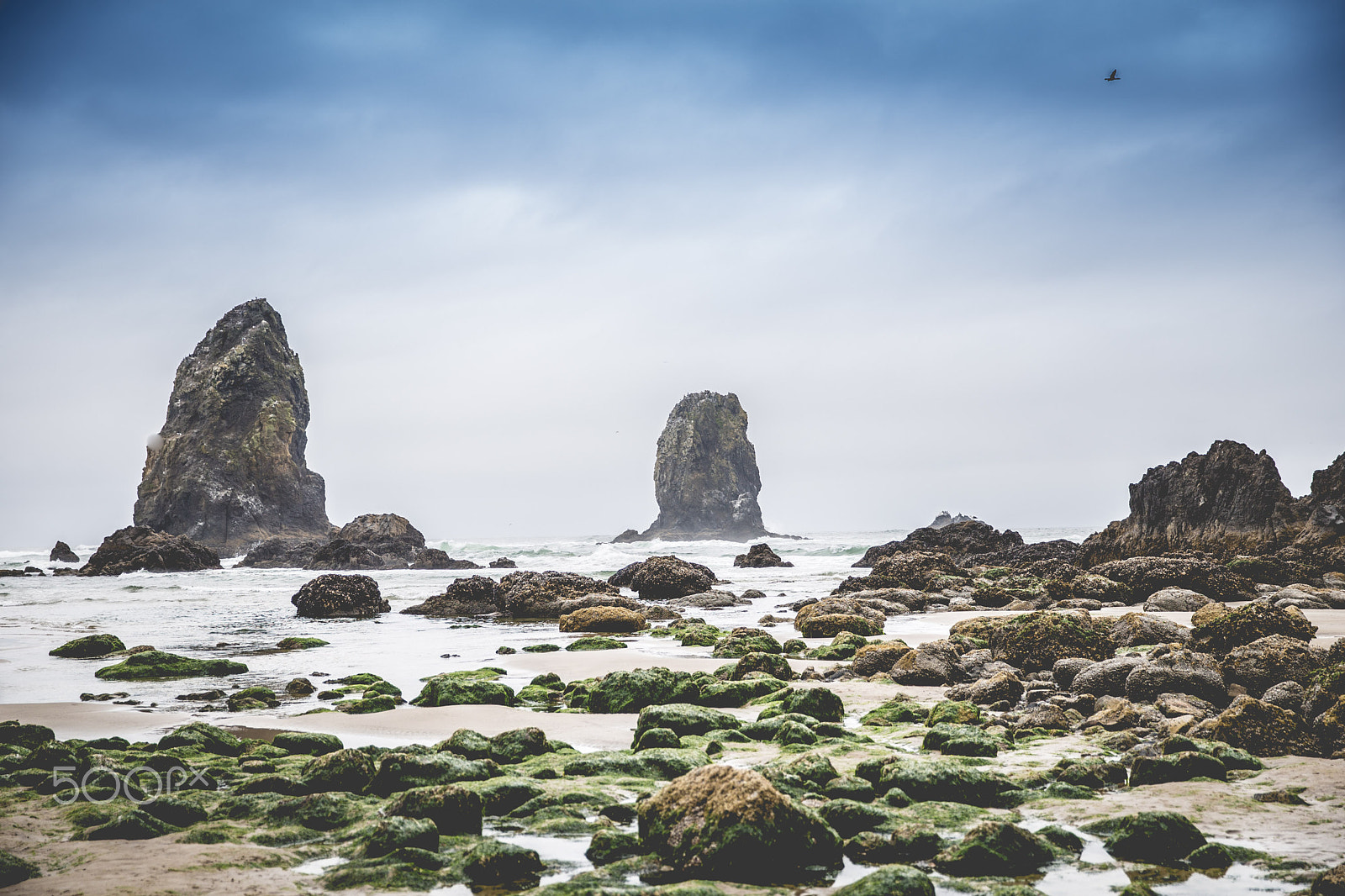 Canon EOS-1D C sample photo. Canon beach photography