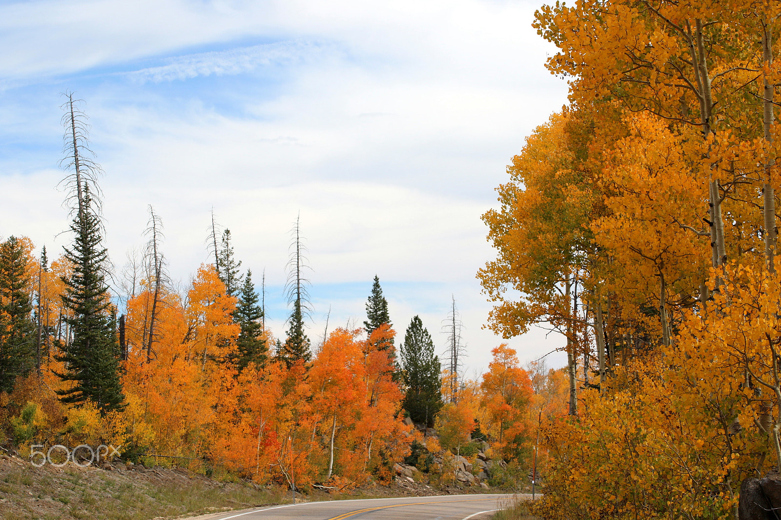 Tamron SP 35mm F1.8 Di VC USD sample photo. Central utah fall road photography