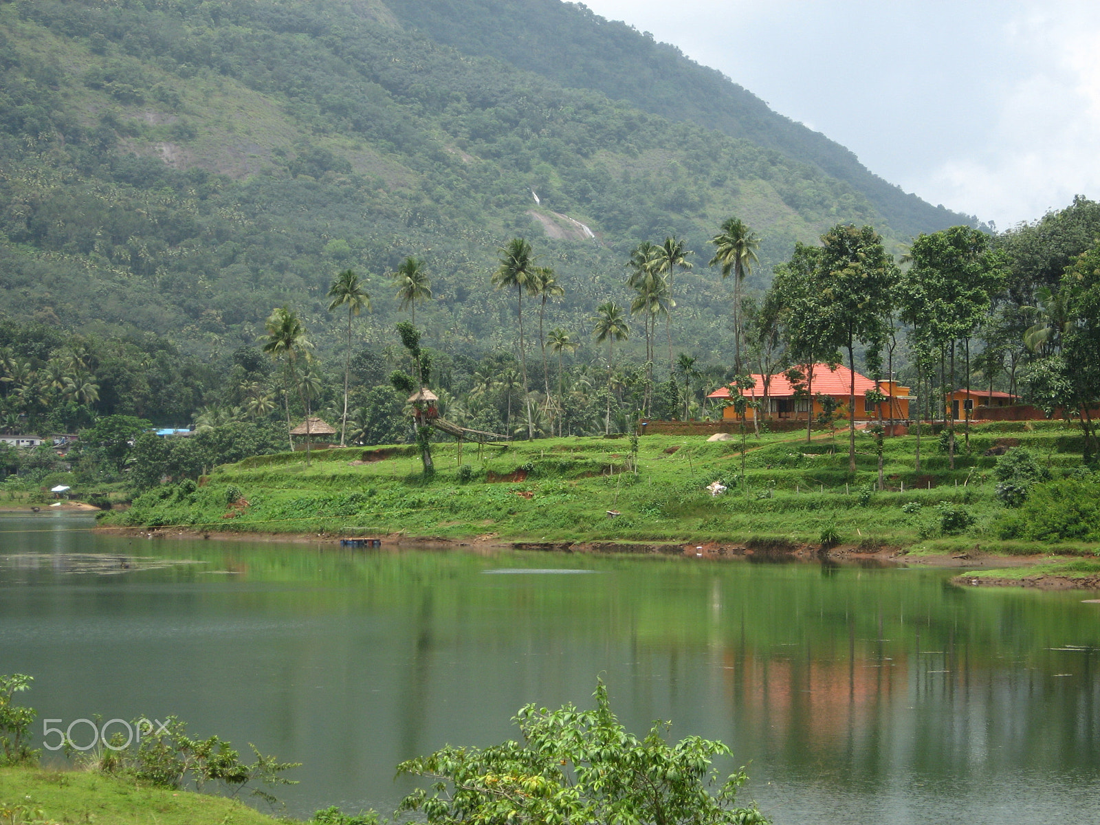 Canon POWERSHOT A540 sample photo. Thodupuzha photography