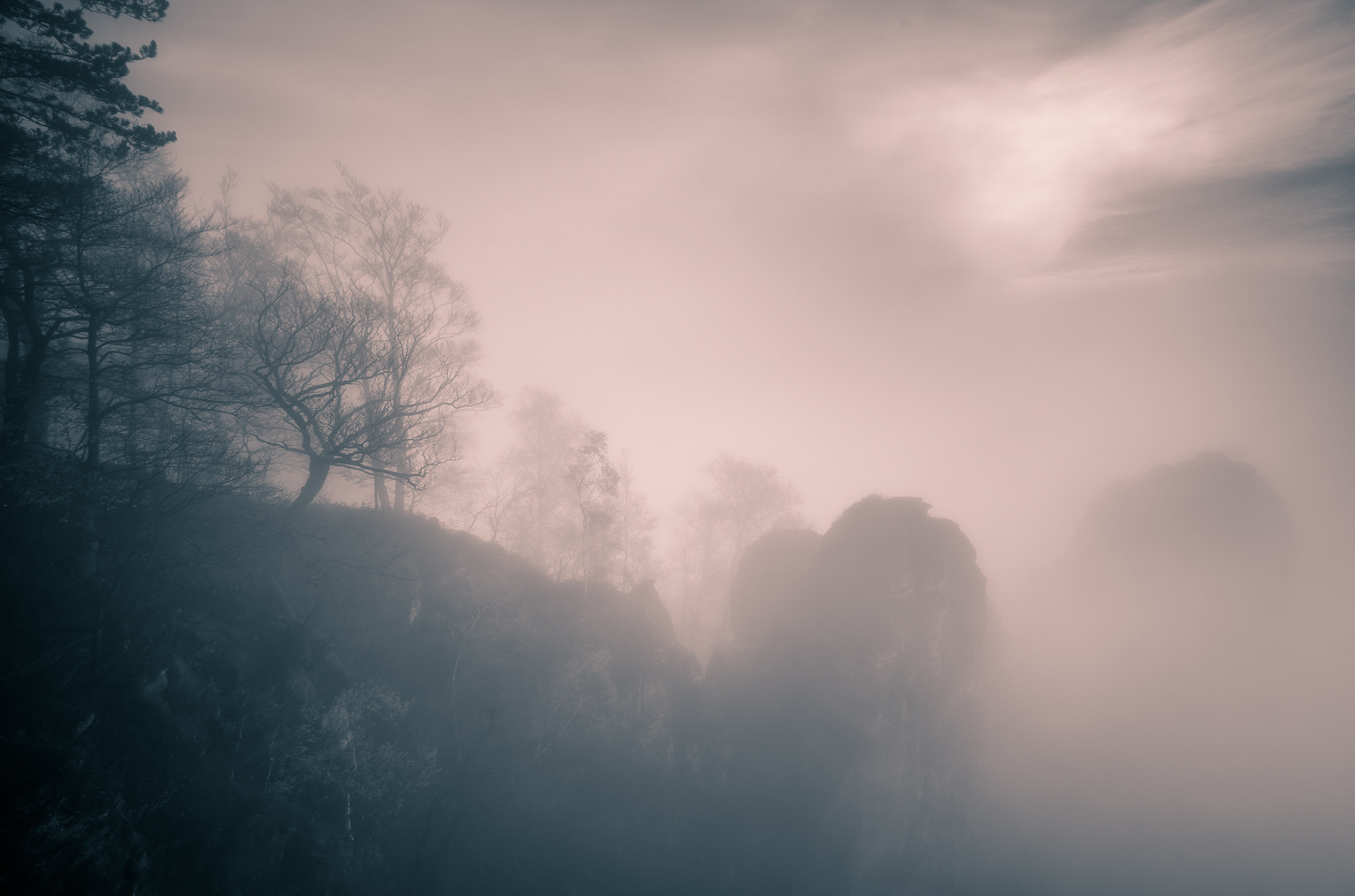 Sony a7 II + Canon EF 16-35mm F4L IS USM sample photo. The fog photography