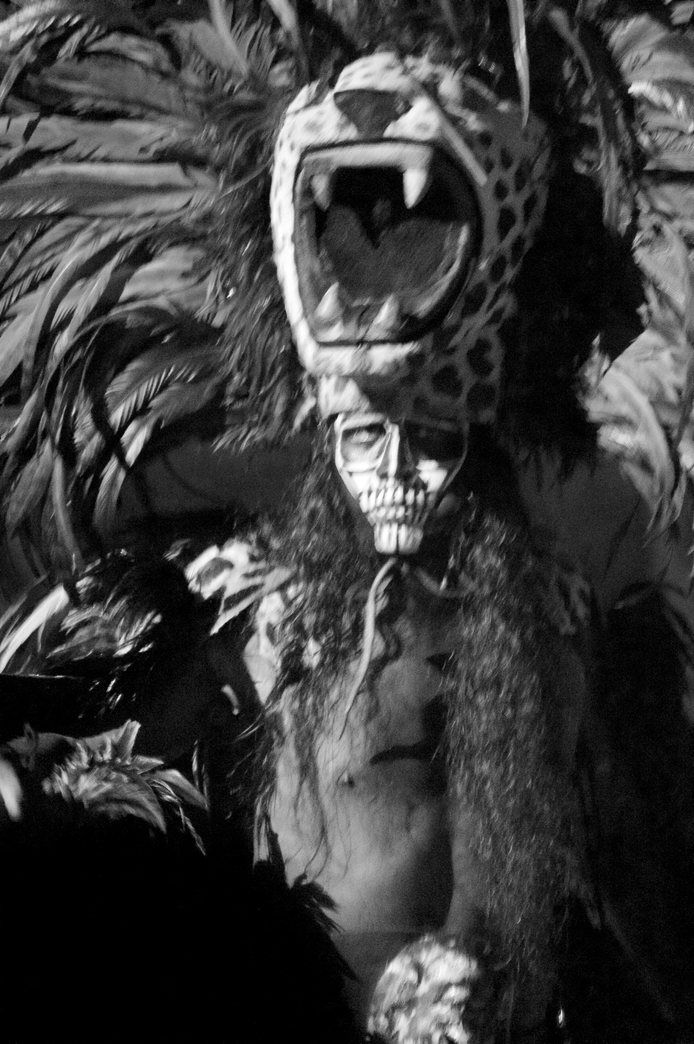 Sony SLT-A37 sample photo. Mayan knight photography