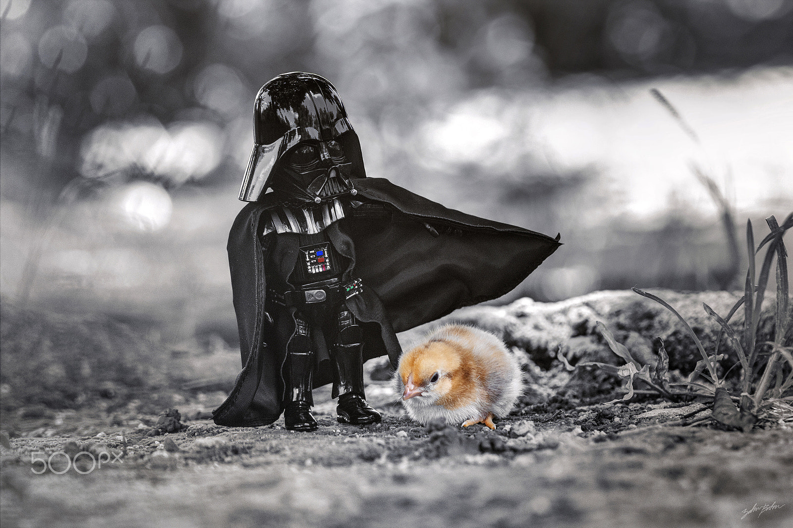 Canon EOS 60D + Canon EF 100mm F2.8 Macro USM sample photo. Darth vader and hot chick photography