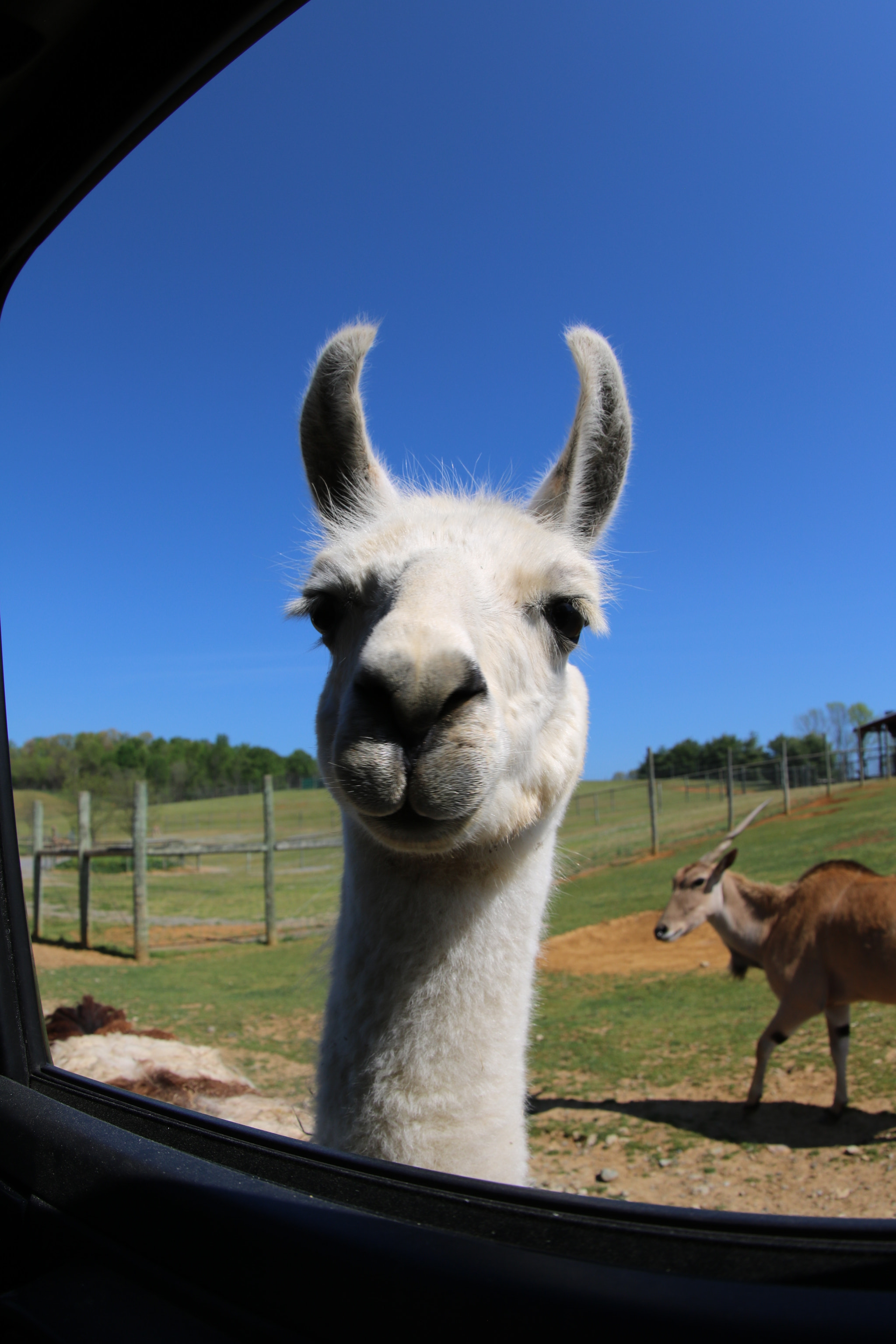 Canon EF 8-15mm F4L Fisheye USM sample photo. Herro photography
