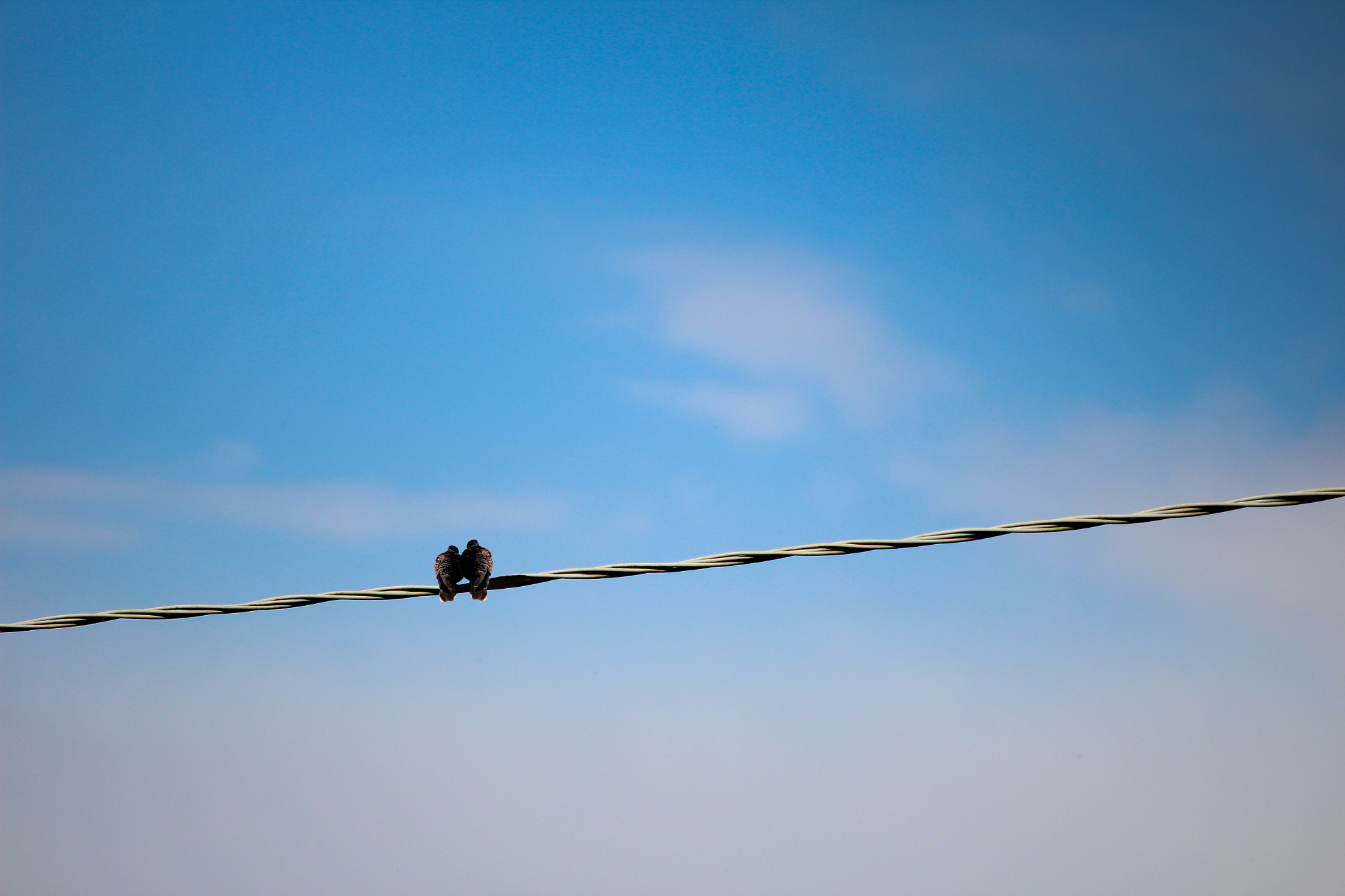 Tamron SP 35mm F1.8 Di VC USD sample photo. Alone photography