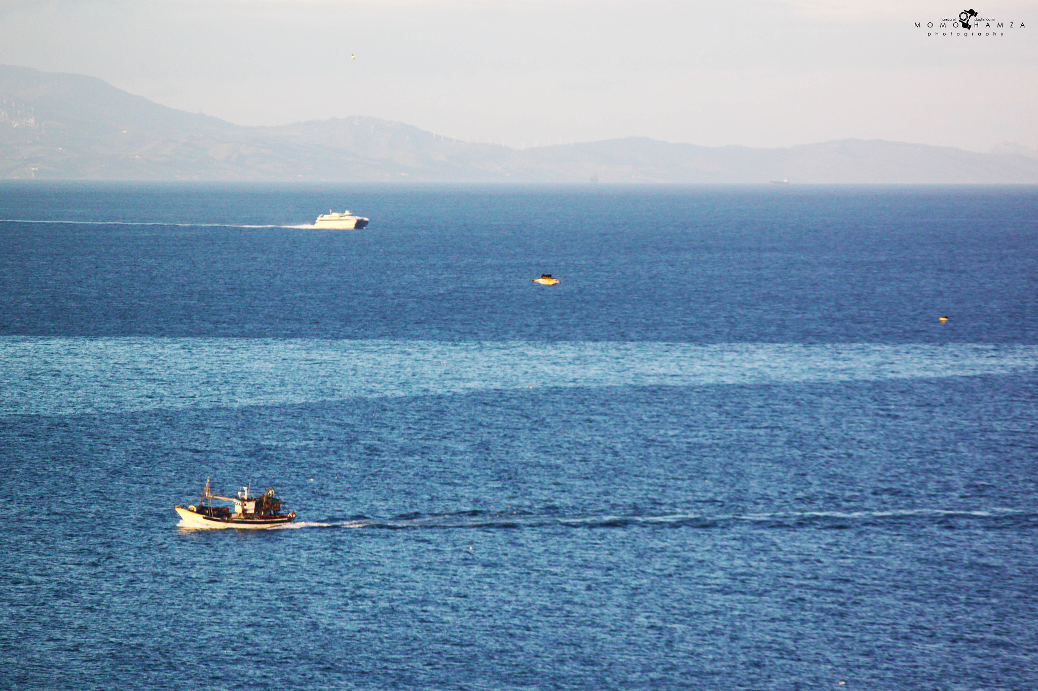Canon EF 100-300mm f/5.6 sample photo