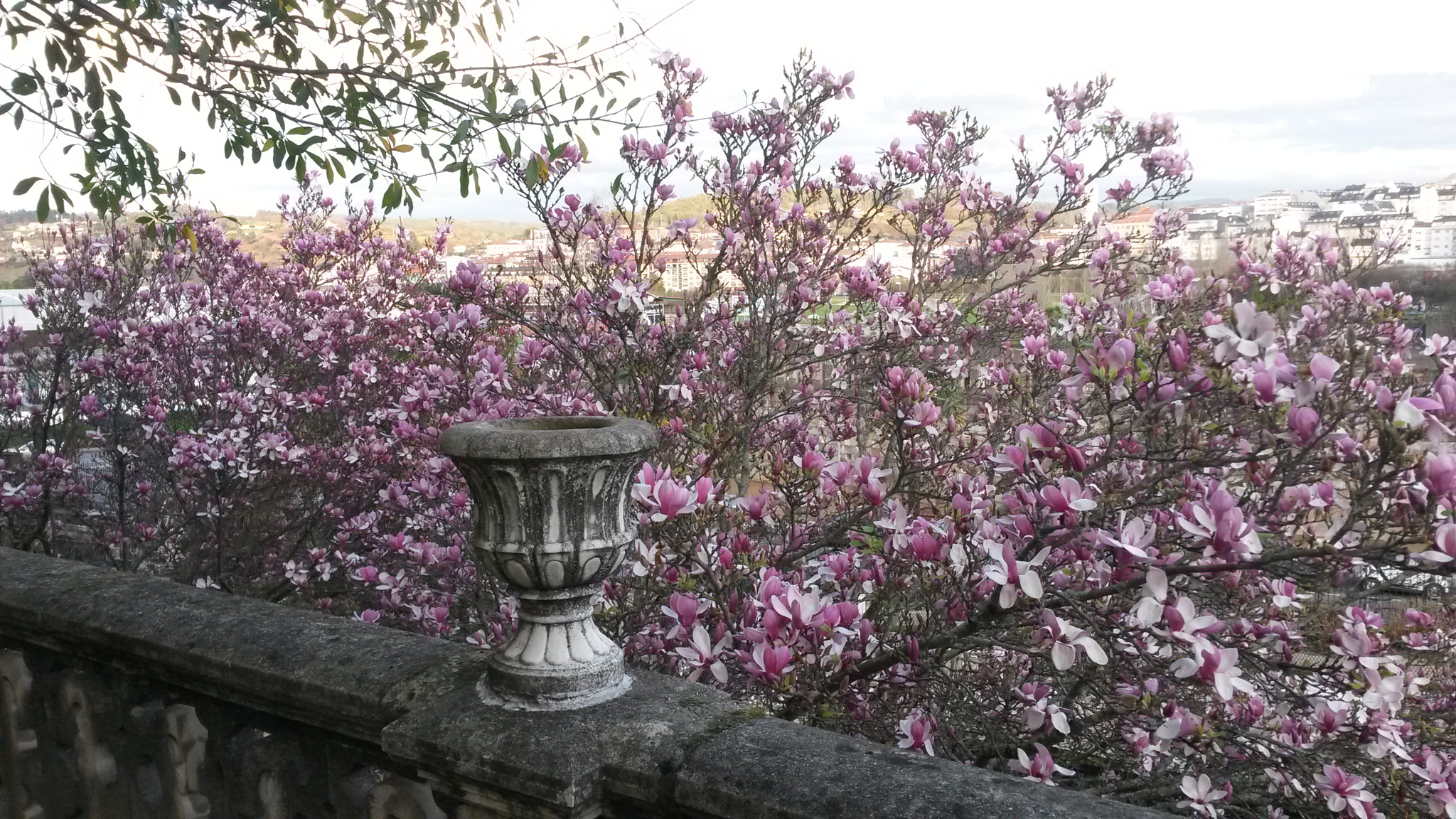 Samsung Galaxy S4 Active sample photo. Betanzos-a coruña photography
