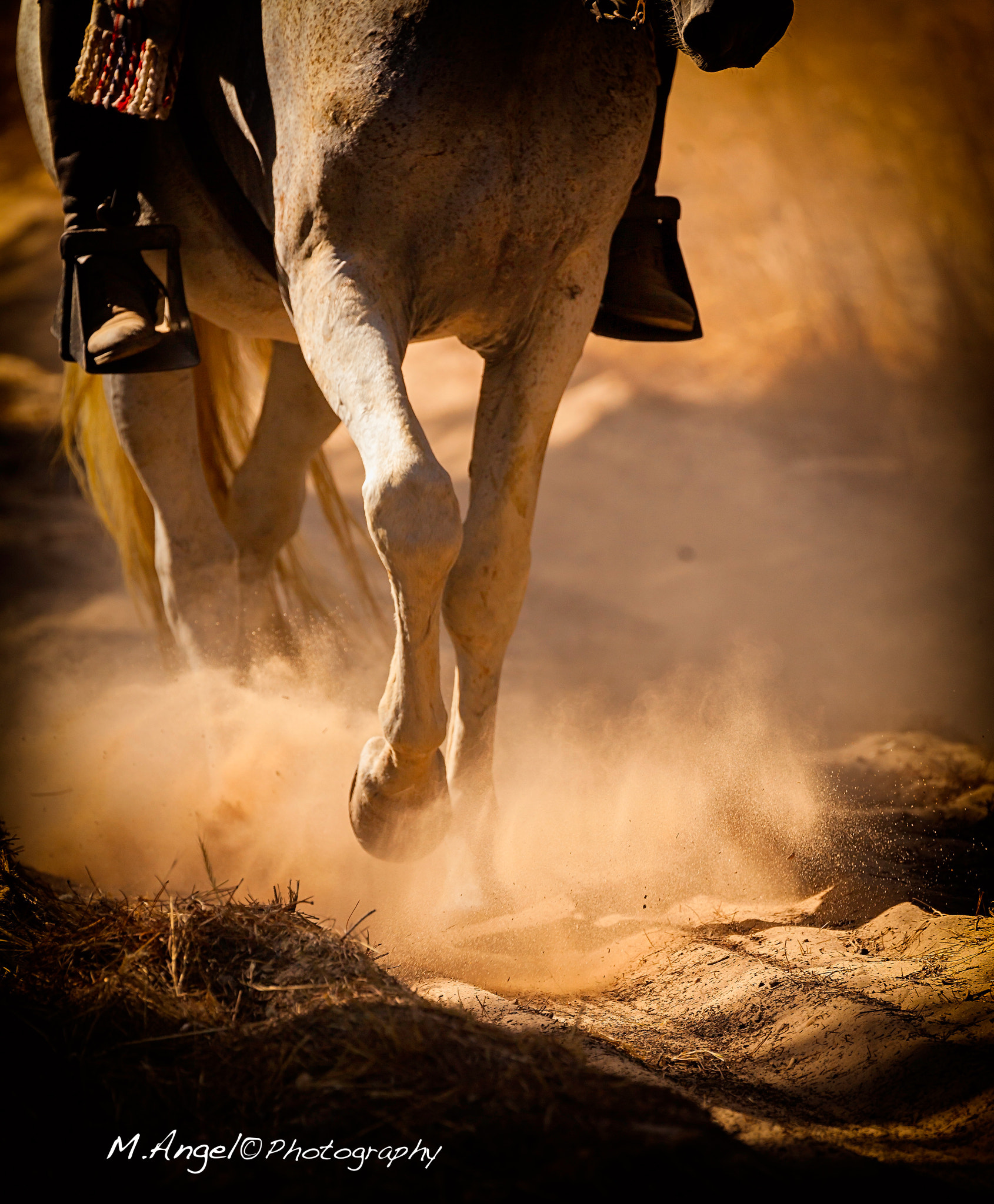 Canon EF 100-400mm F4.5-5.6L IS II USM sample photo. El caminar del caballo en el camino. photography