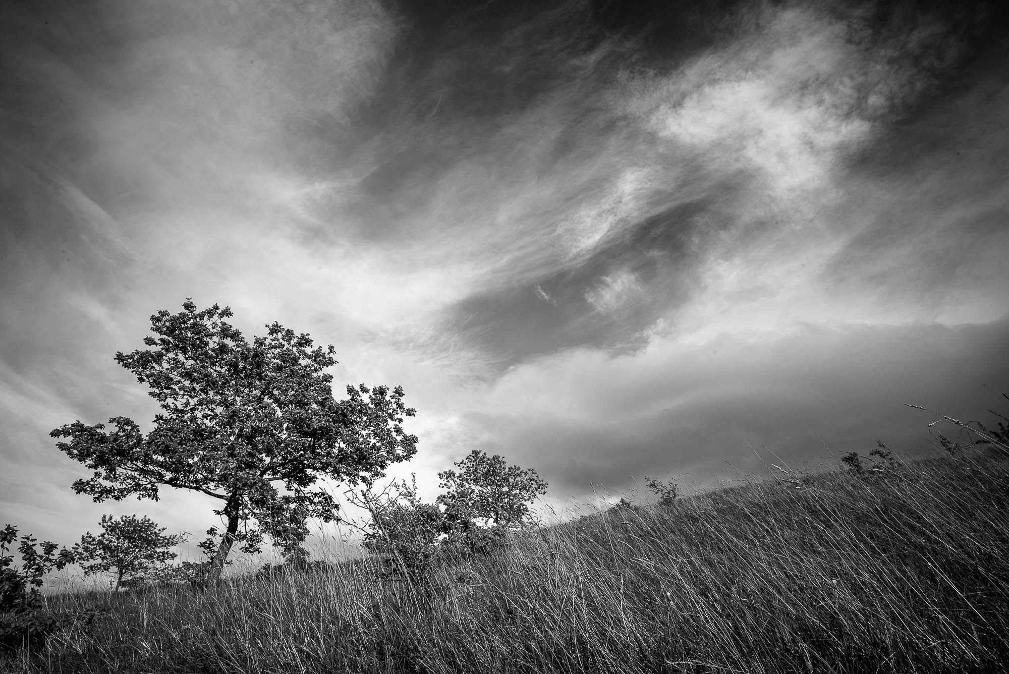 Elmarit-M 1:2.8/21 ASPH. sample photo. L10099761816.jpg photography