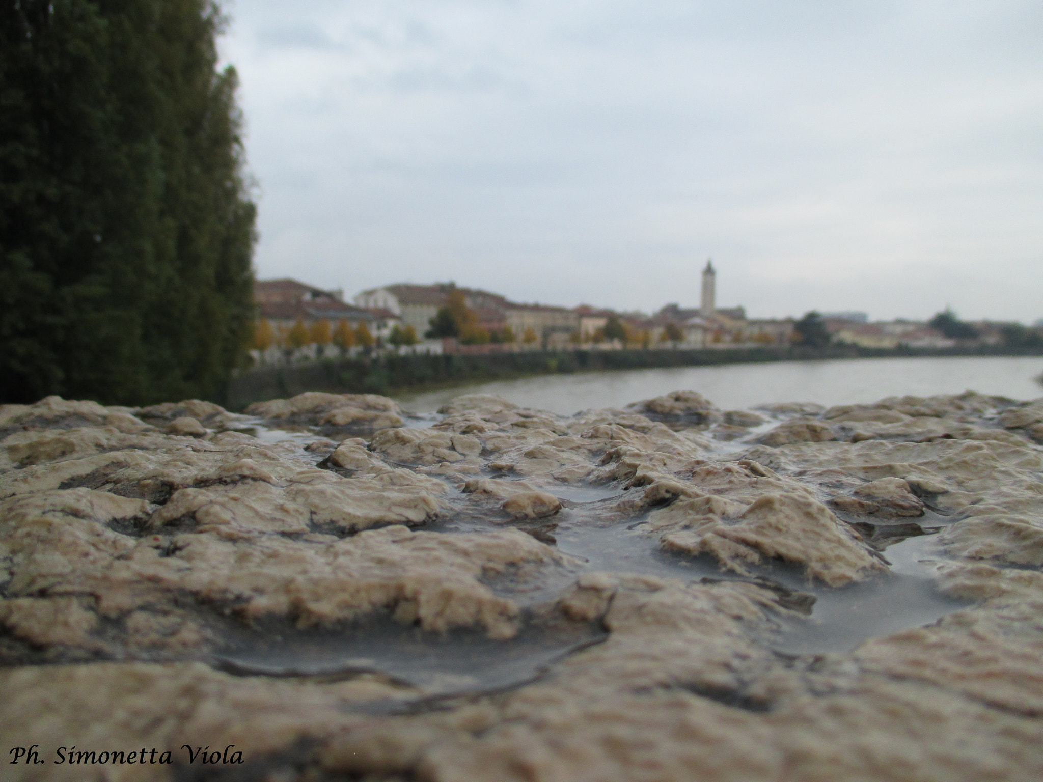 Canon PowerShot ELPH 115 IS (IXUS 132 / IXY 90F) sample photo. Verona photography