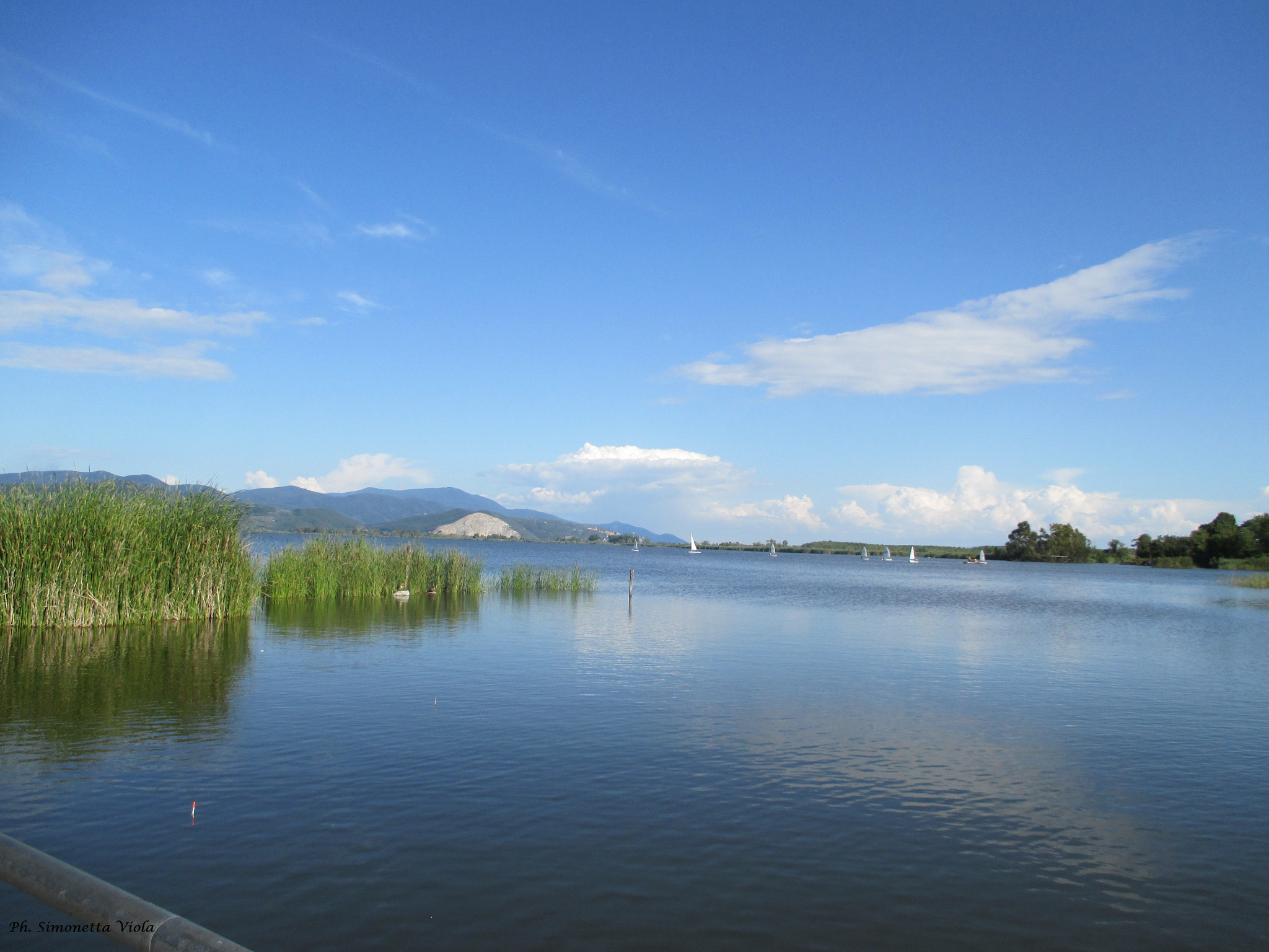 Canon PowerShot ELPH 115 IS (IXUS 132 / IXY 90F) sample photo. Torre del lago puccini photography