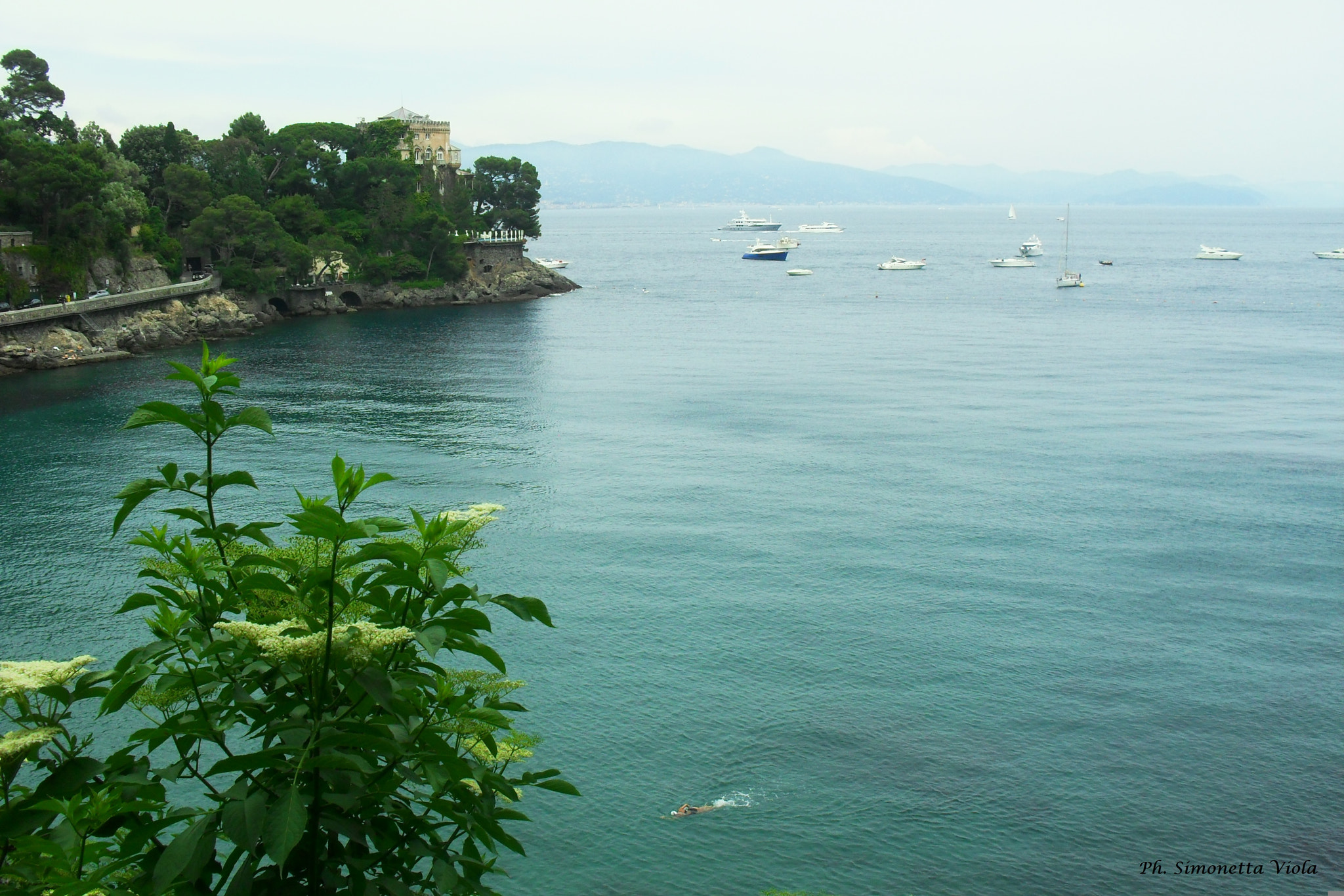 Samsung ES60 / VLUU ES60 /  SL105 /  ES63 sample photo. Portofino photography