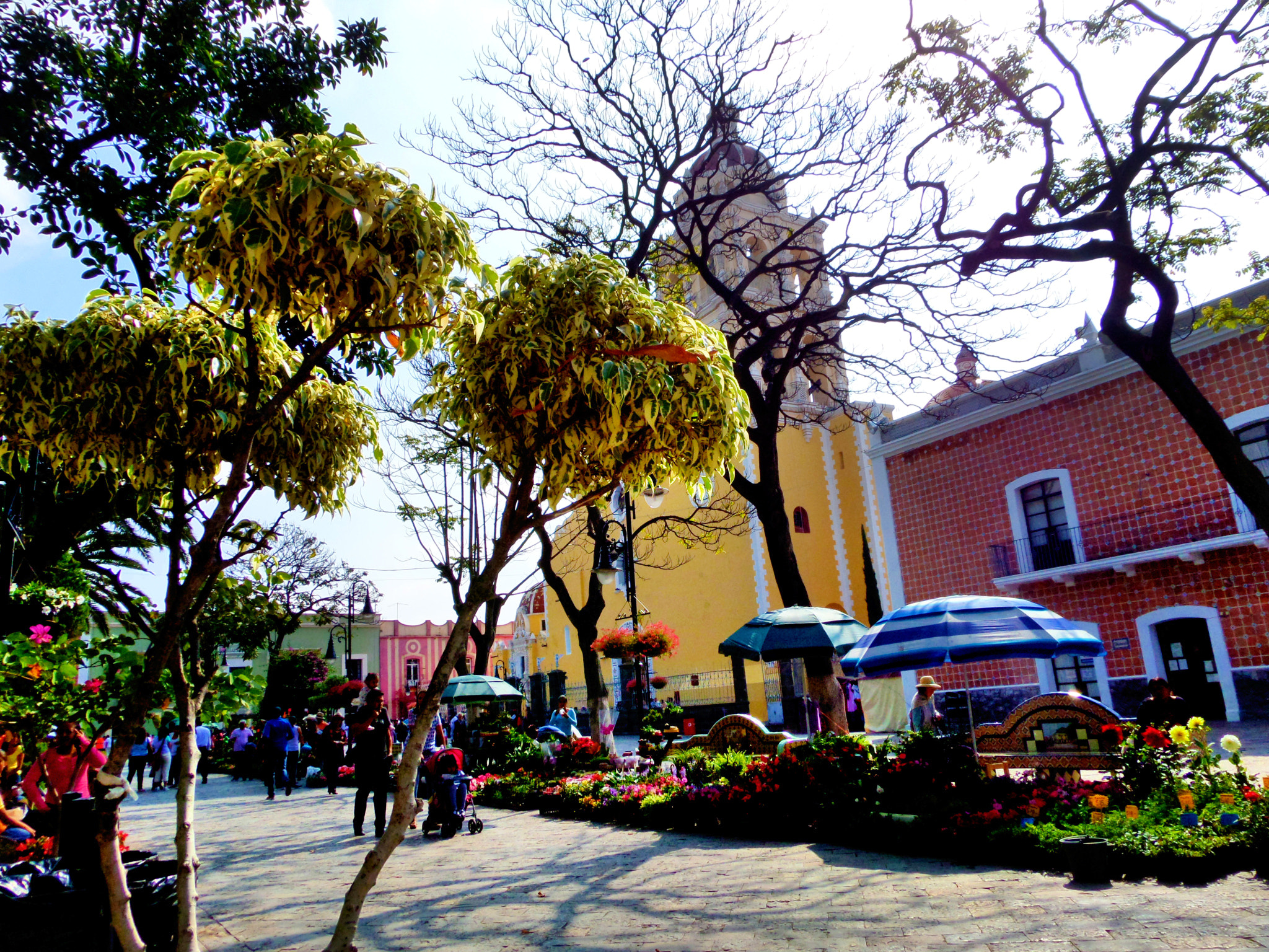 Samsung WB200F/WB201F/WB202F sample photo. Atlixco puebla photography