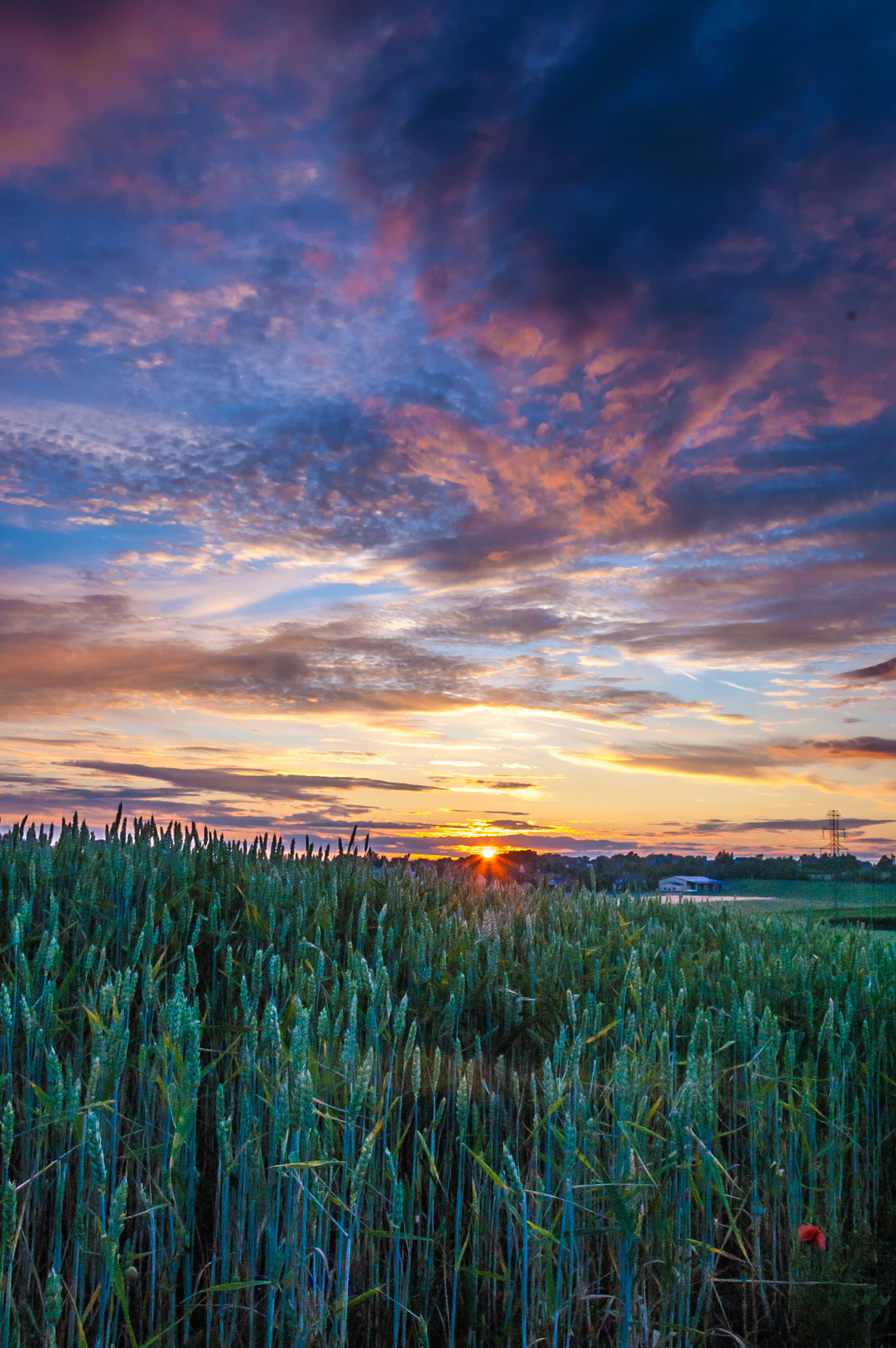 Nikon D50 sample photo. Sunset full of colors photography
