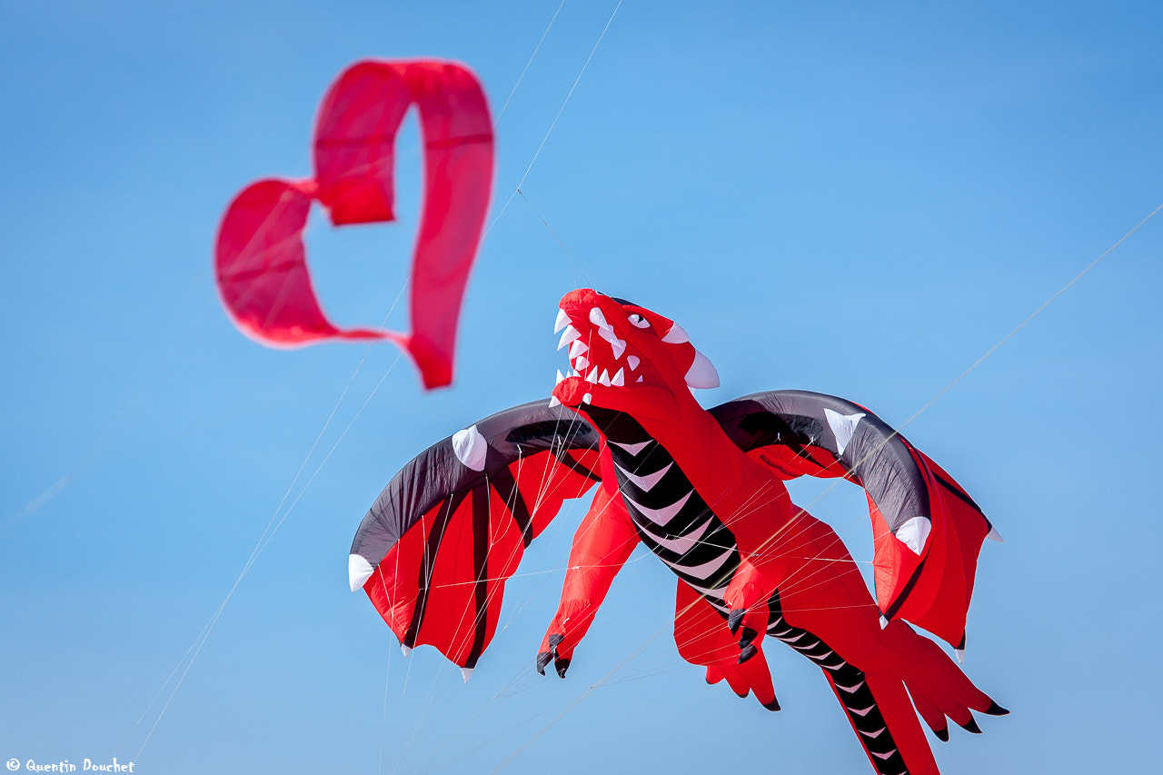 Canon EF 100-400mm F4.5-5.6L IS USM sample photo. Dragon de coeur - ricv 2016 berck photography