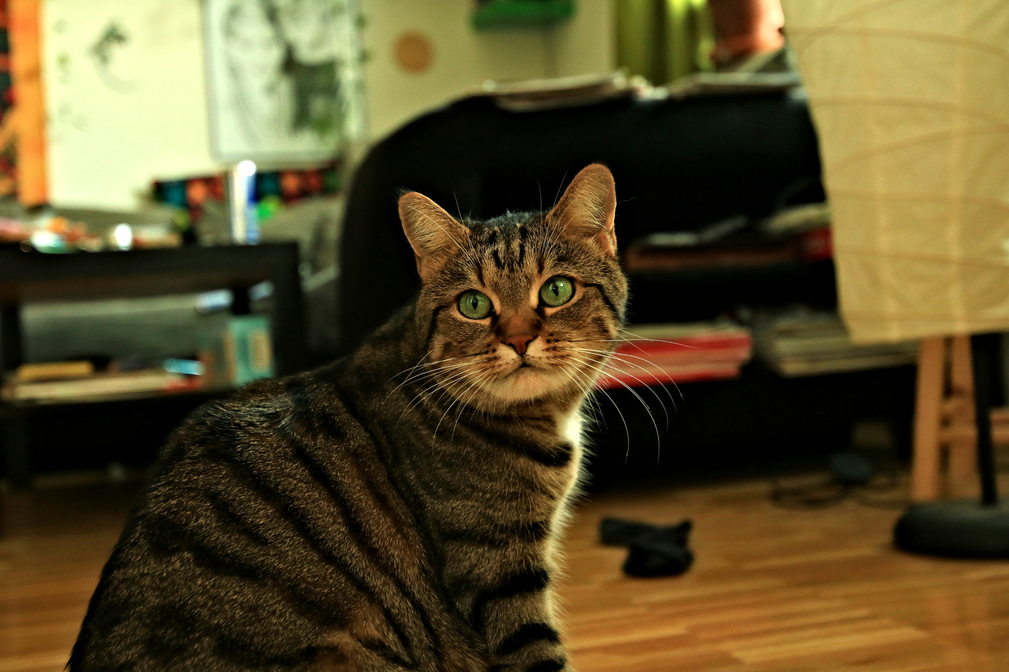 Canon EOS 750D (EOS Rebel T6i / EOS Kiss X8i) sample photo. Merli bärli photography