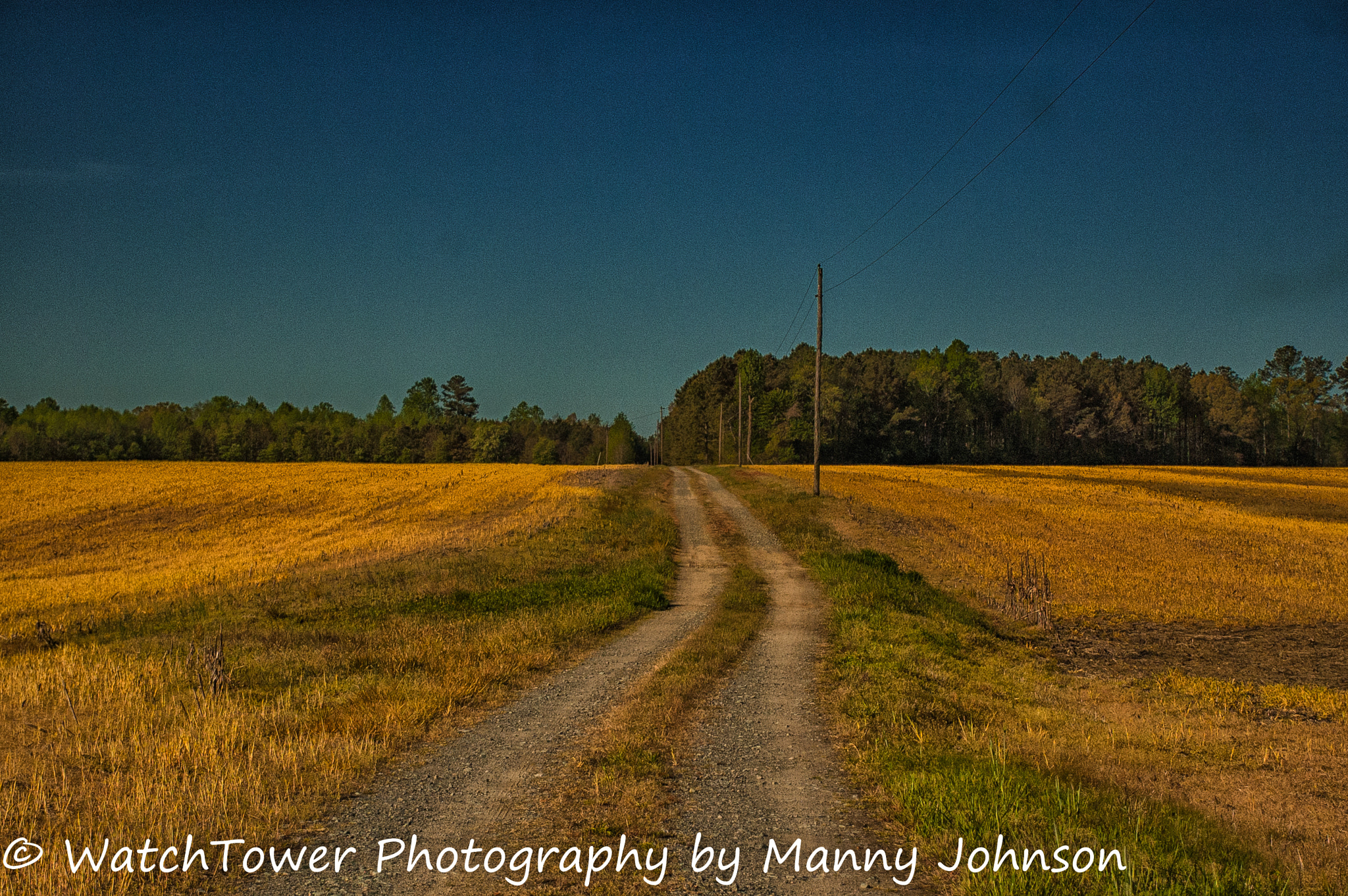 Nikon D50 sample photo. Back roads photography
