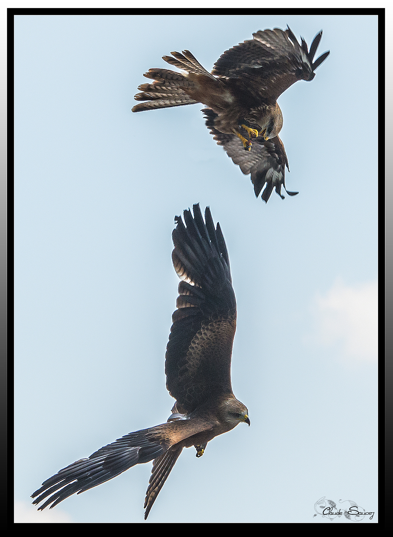 Sigma 120-400mm F4.5-5.6 DG OS HSM sample photo. Vol en duo photography