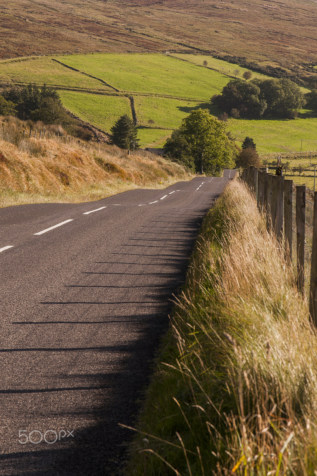 Sigma 17-70mm F2.8-4 DC Macro OS HSM | C sample photo. On the road photography