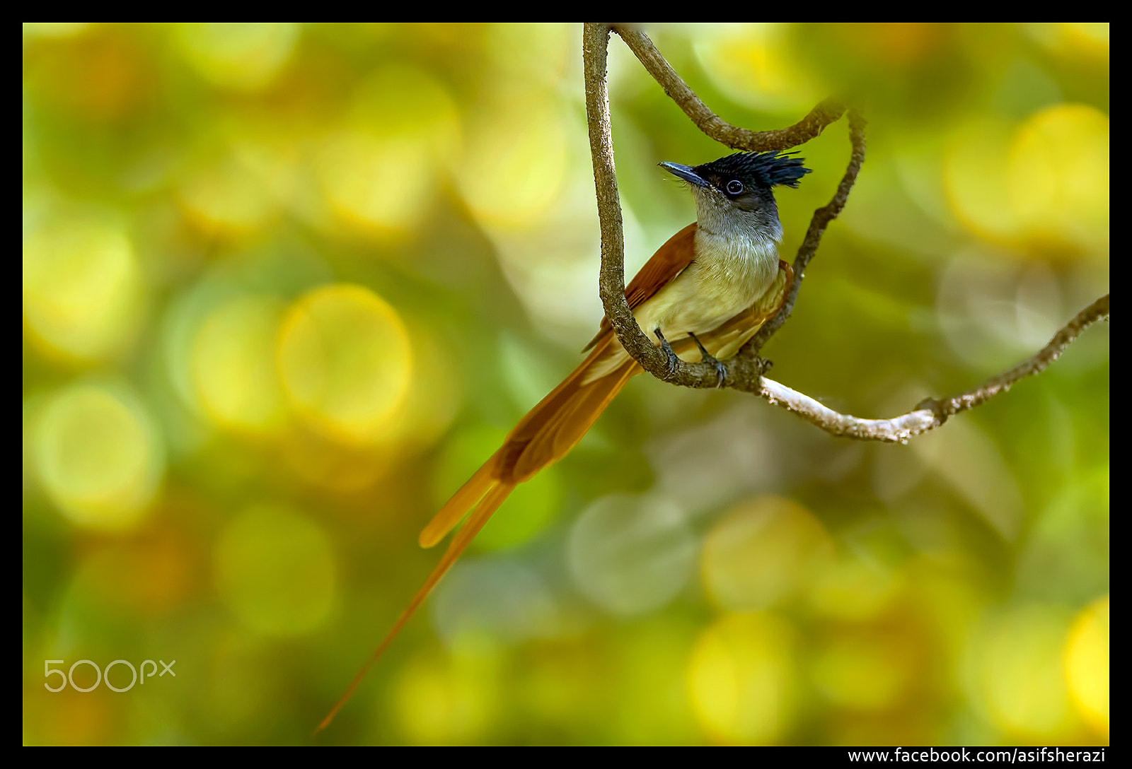 Nikon D5 sample photo. Beauty of the nature photography