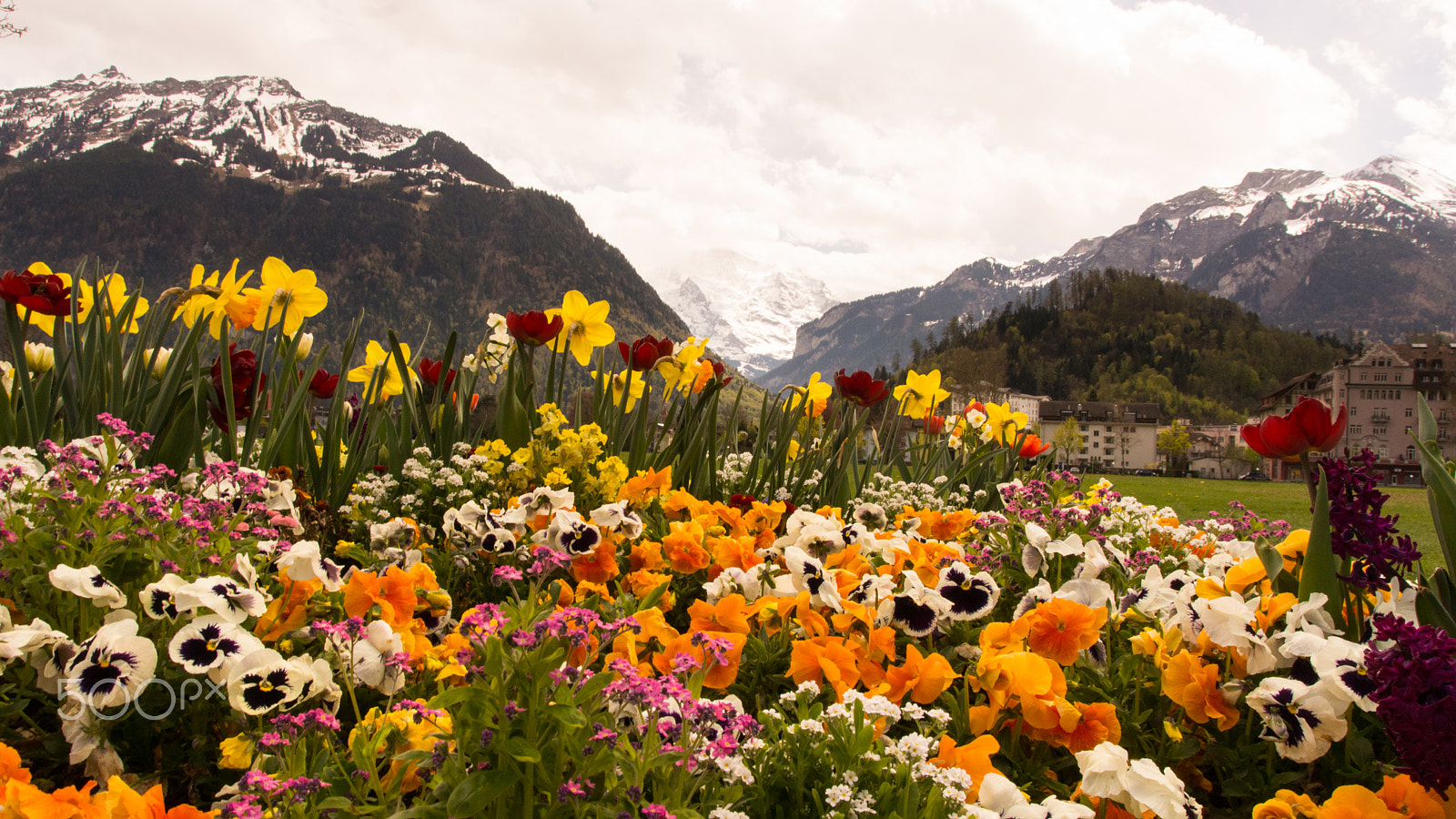 Sony SLT-A65 (SLT-A65V) + Tamron AF 28-105mm F4-5.6 [IF] sample photo. View from interlaken photography