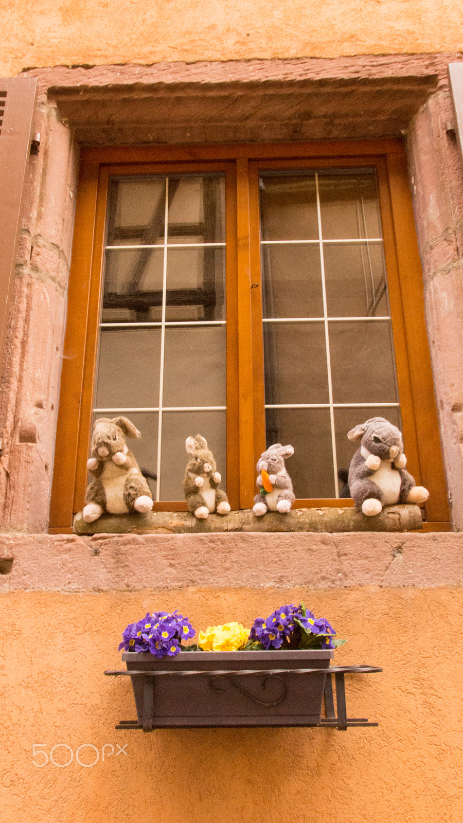 Sony SLT-A65 (SLT-A65V) + Tamron AF 28-105mm F4-5.6 [IF] sample photo. Alsace window photography