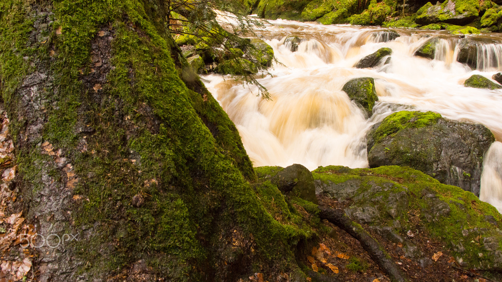 Sony SLT-A65 (SLT-A65V) + Tamron AF 28-105mm F4-5.6 [IF] sample photo. Schwarzwald stream photography