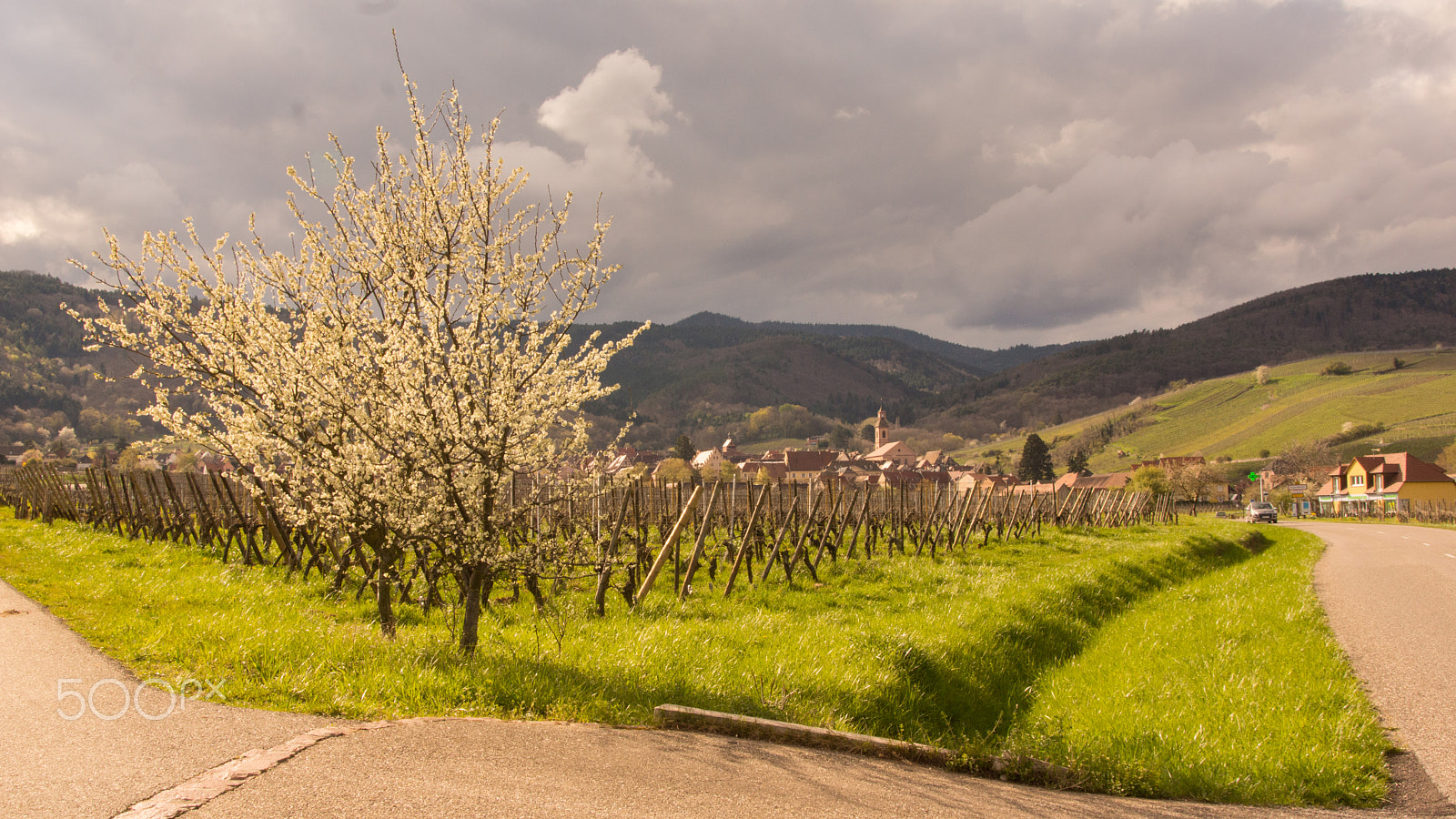 Sony SLT-A65 (SLT-A65V) + Tamron AF 28-105mm F4-5.6 [IF] sample photo. Alsace corner photography