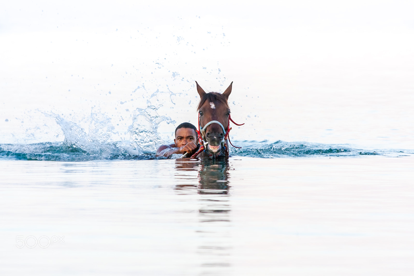 Canon EF 70-300mm F4-5.6 IS USM sample photo. Caballo con jockey saliendo del mar photography