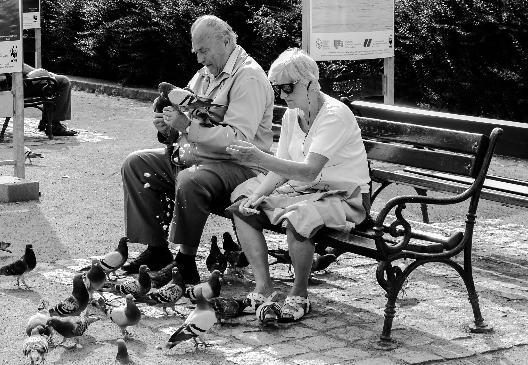 Panasonic Lumix DMC-GX1 sample photo. GoŁĘbie photography