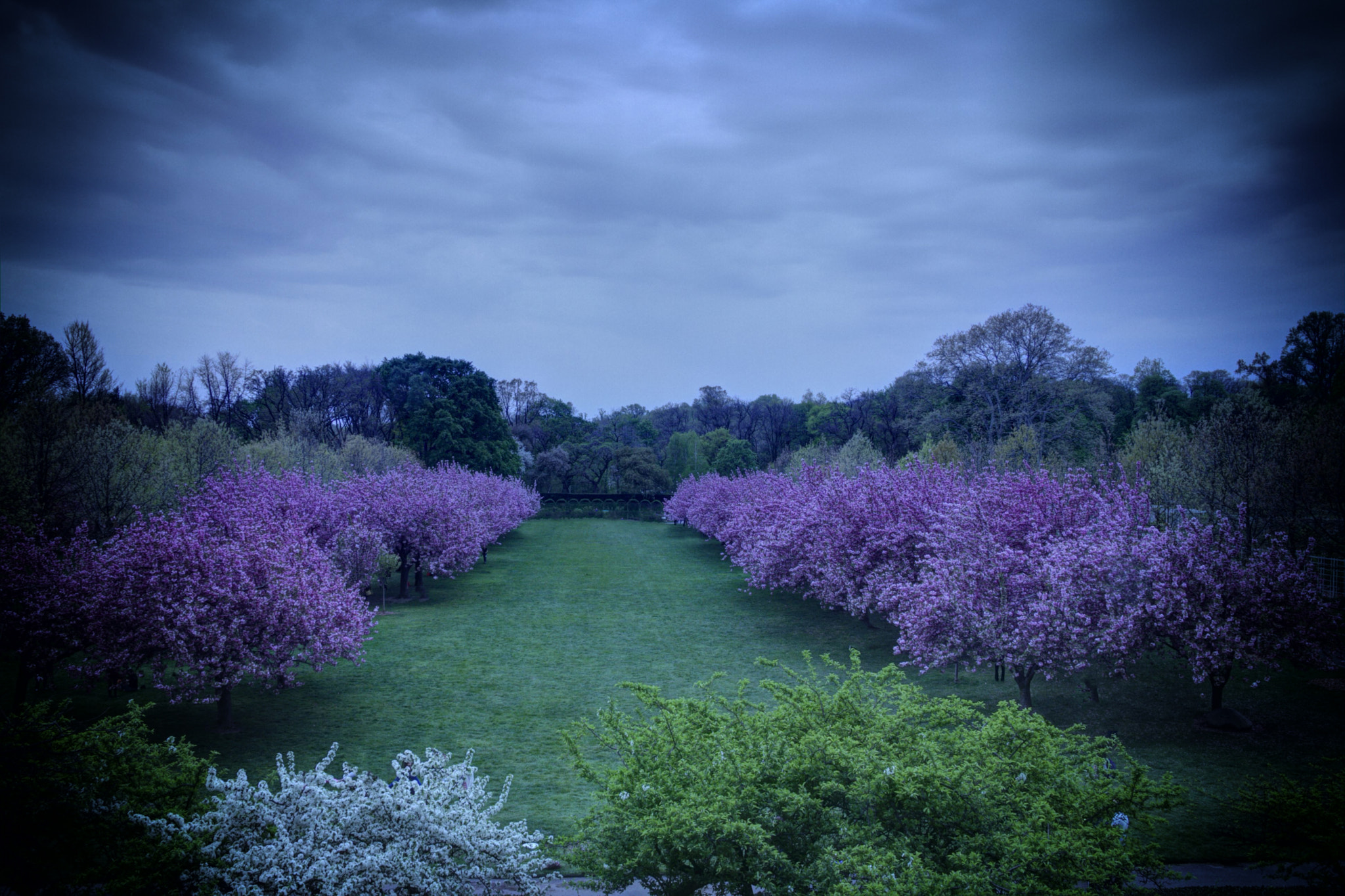 Canon EF-S 18-135mm F3.5-5.6 IS STM sample photo. Brooklyn botanical gardens photography