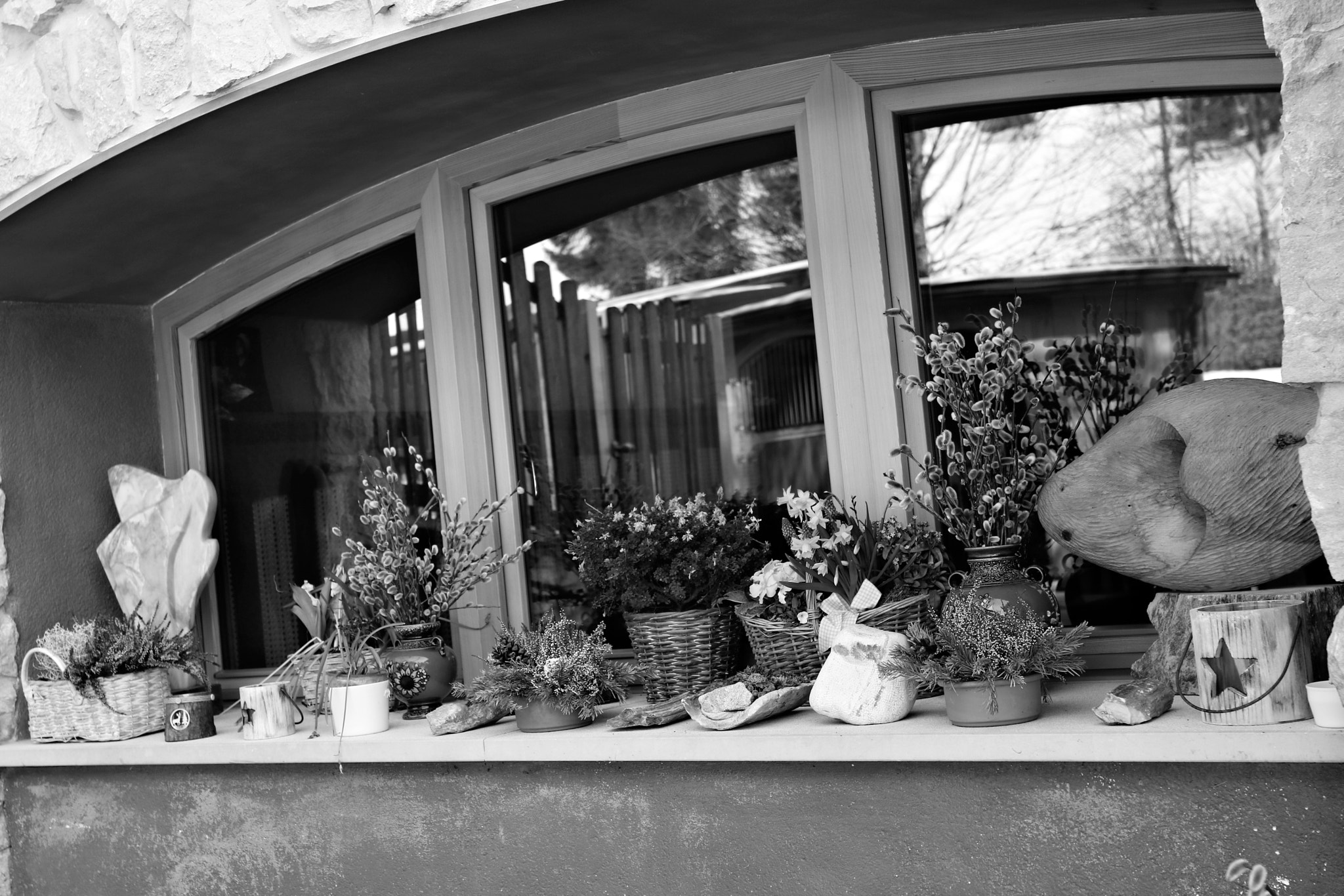Canon EOS 750D (EOS Rebel T6i / EOS Kiss X8i) sample photo. Springtime9 photography